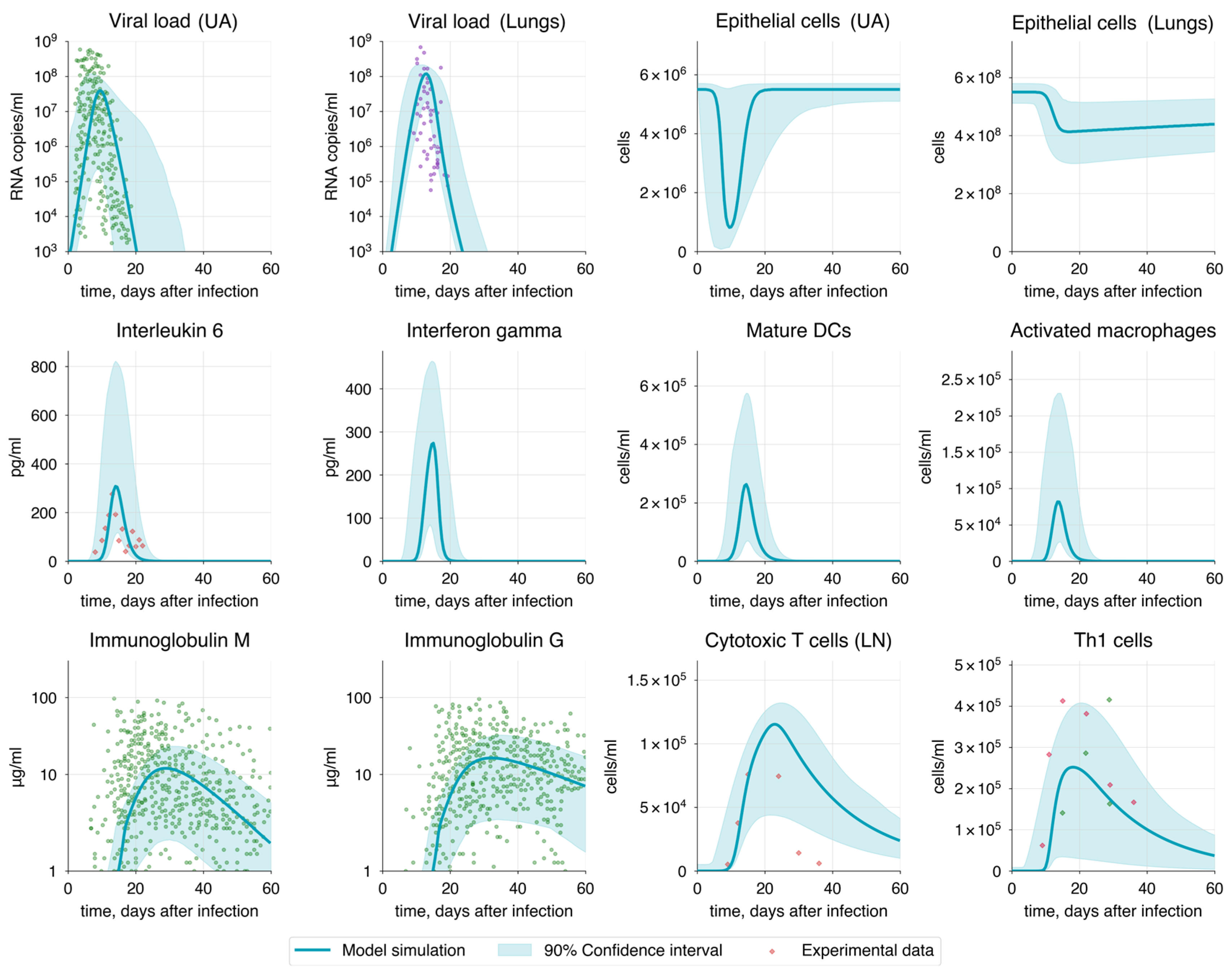 Viruses 17 00589 g005
