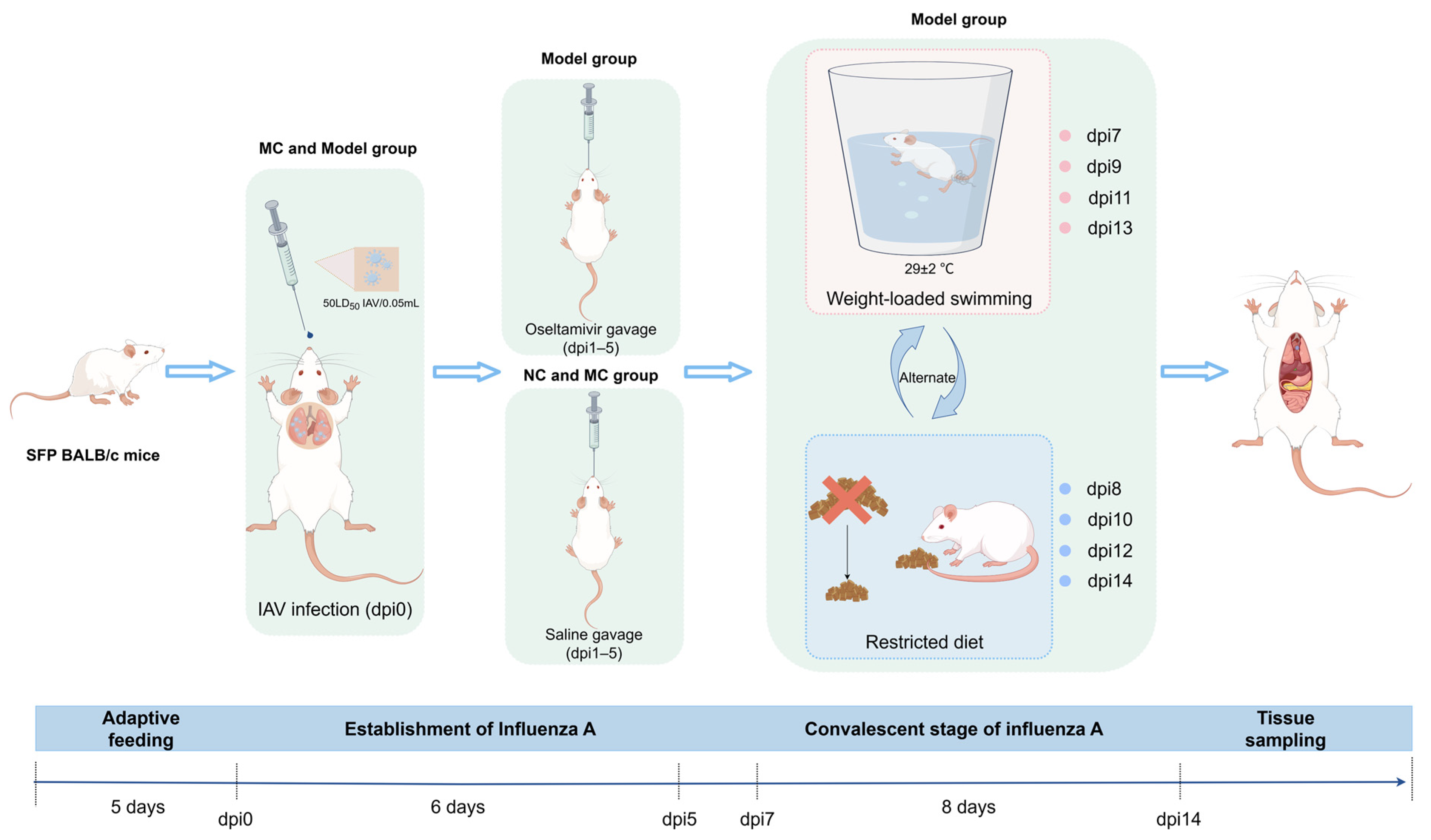 Viruses 17 00593 g001 Viruses 17 00593 g001