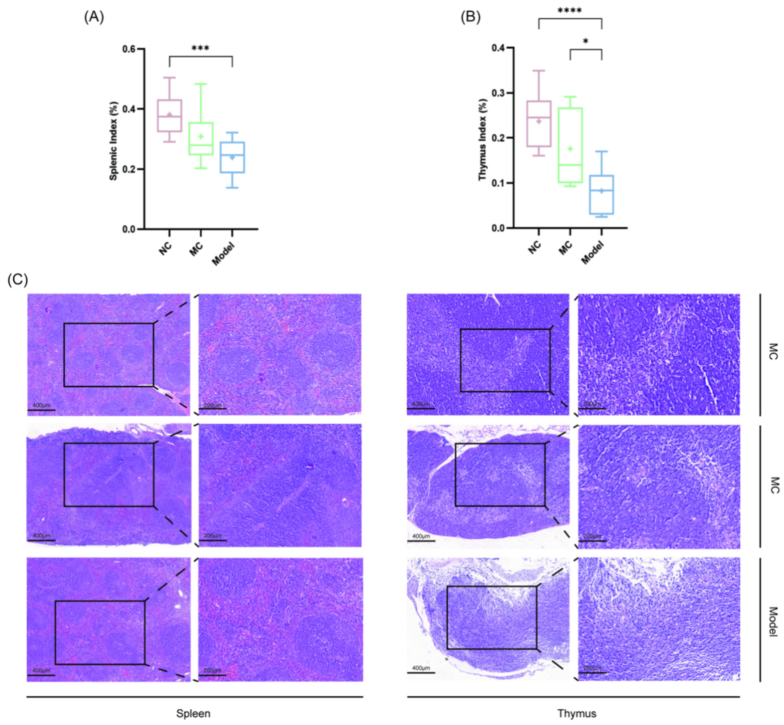 Viruses 17 00593 g005 Viruses 17 00593 g005