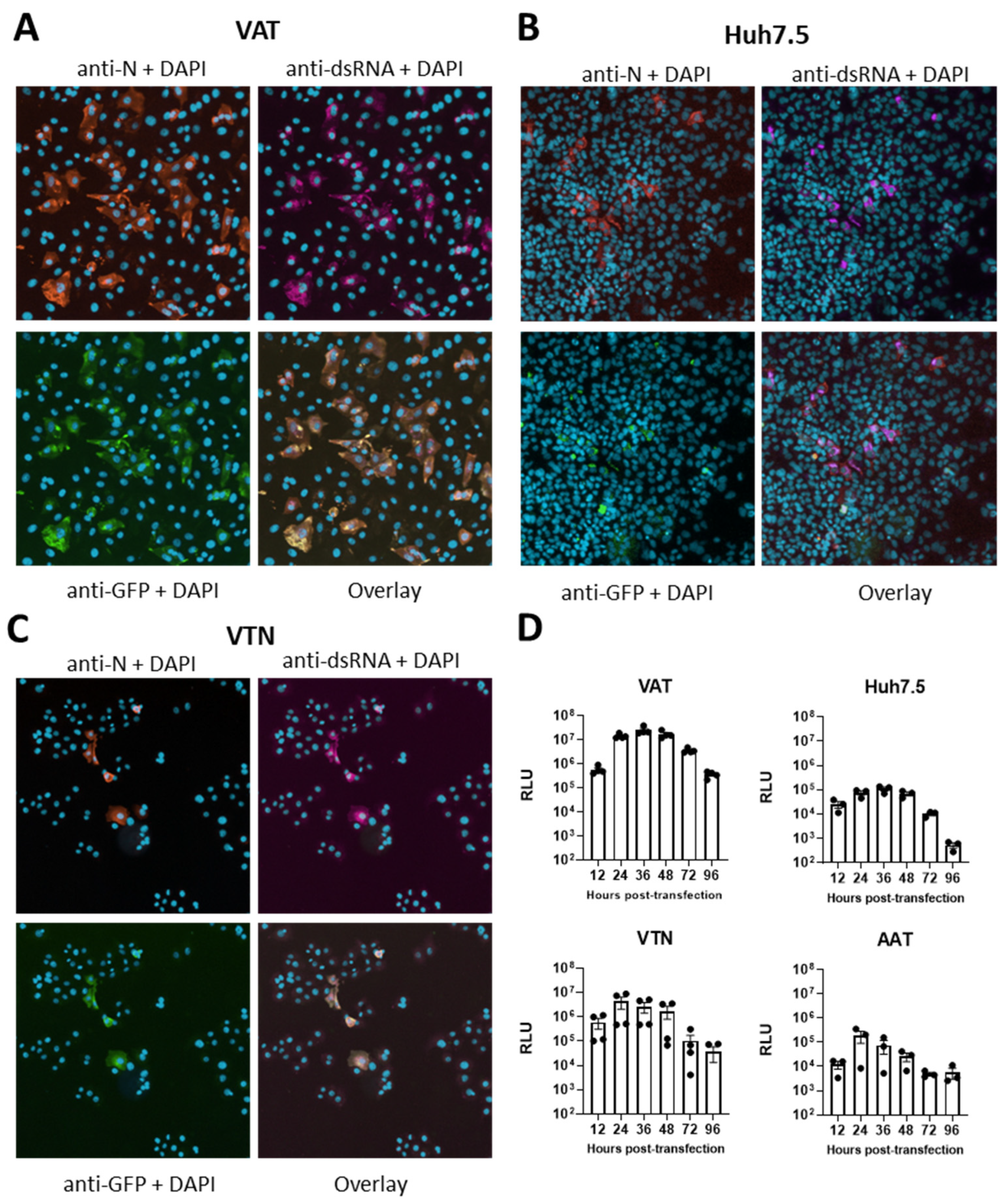 Viruses 17 00597 g002