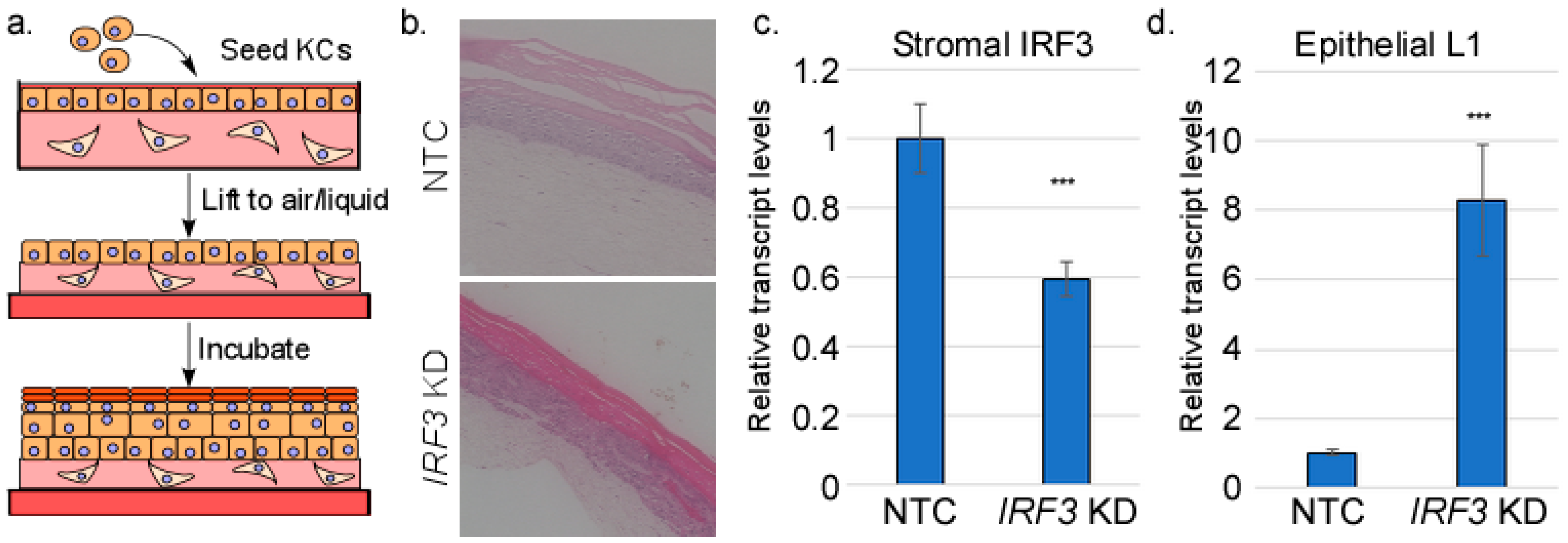 Viruses 17 00598 g001