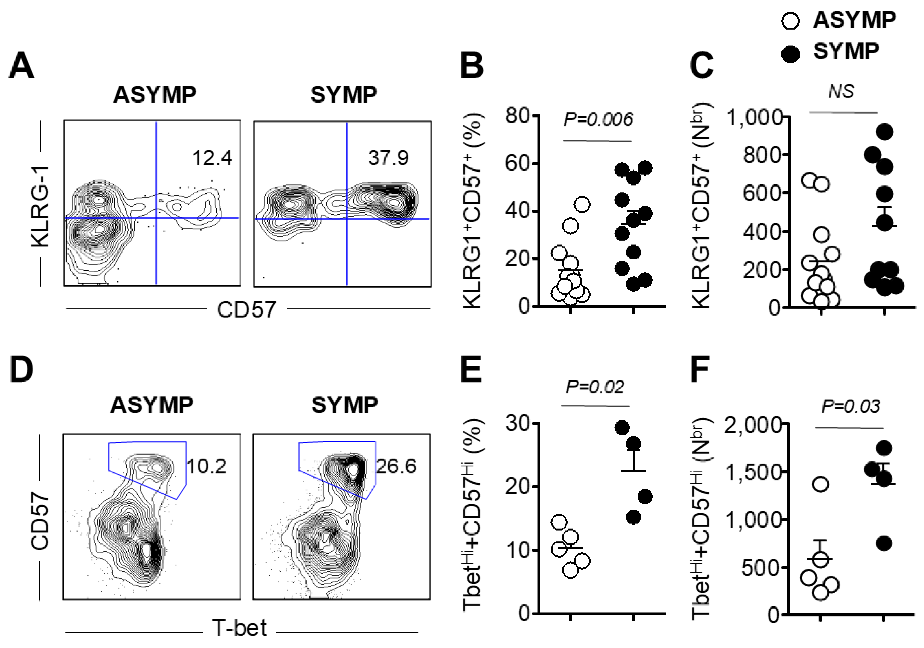 Viruses 17 00606 g004