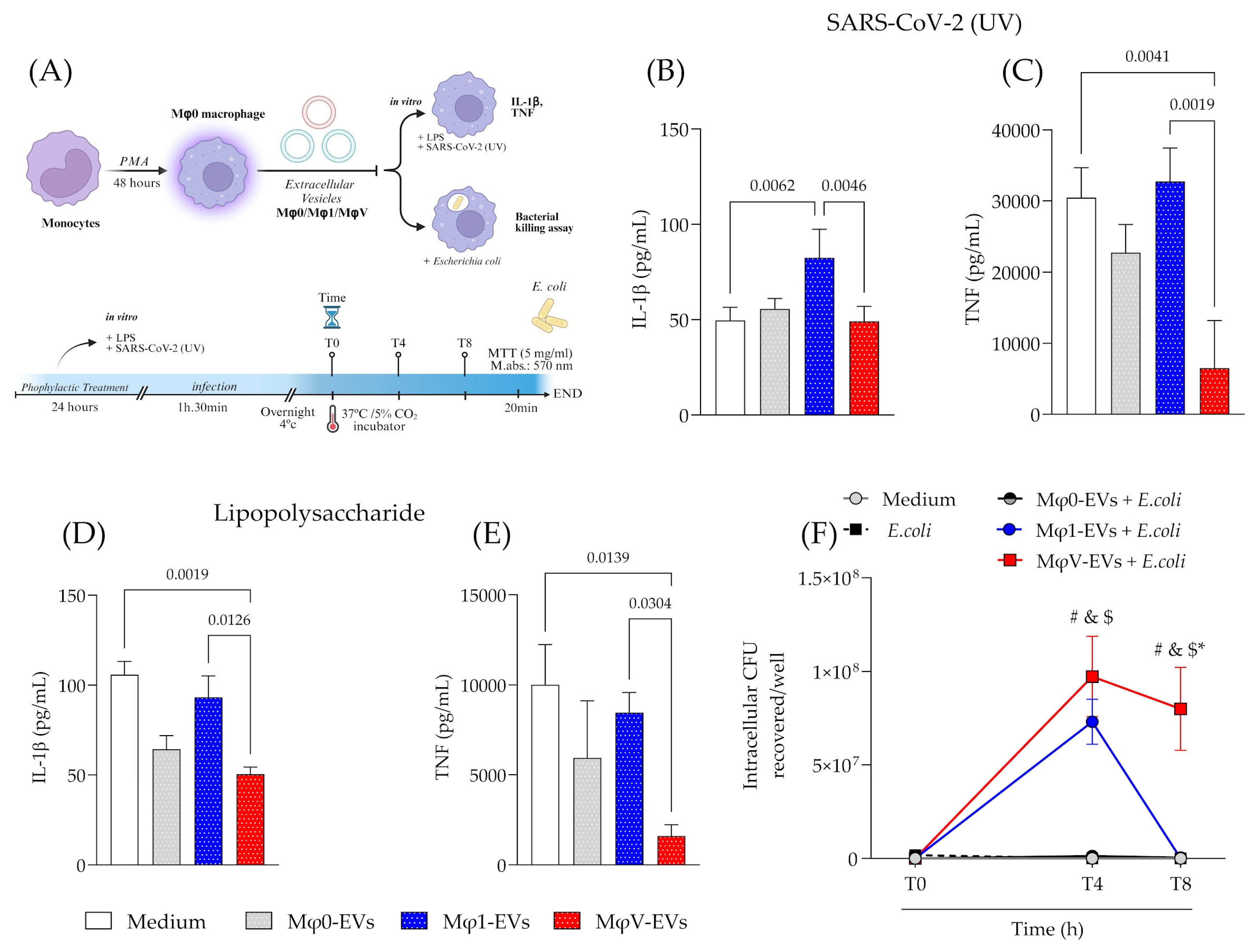 Viruses 17 00610 g003 Viruses 17 00610 g003