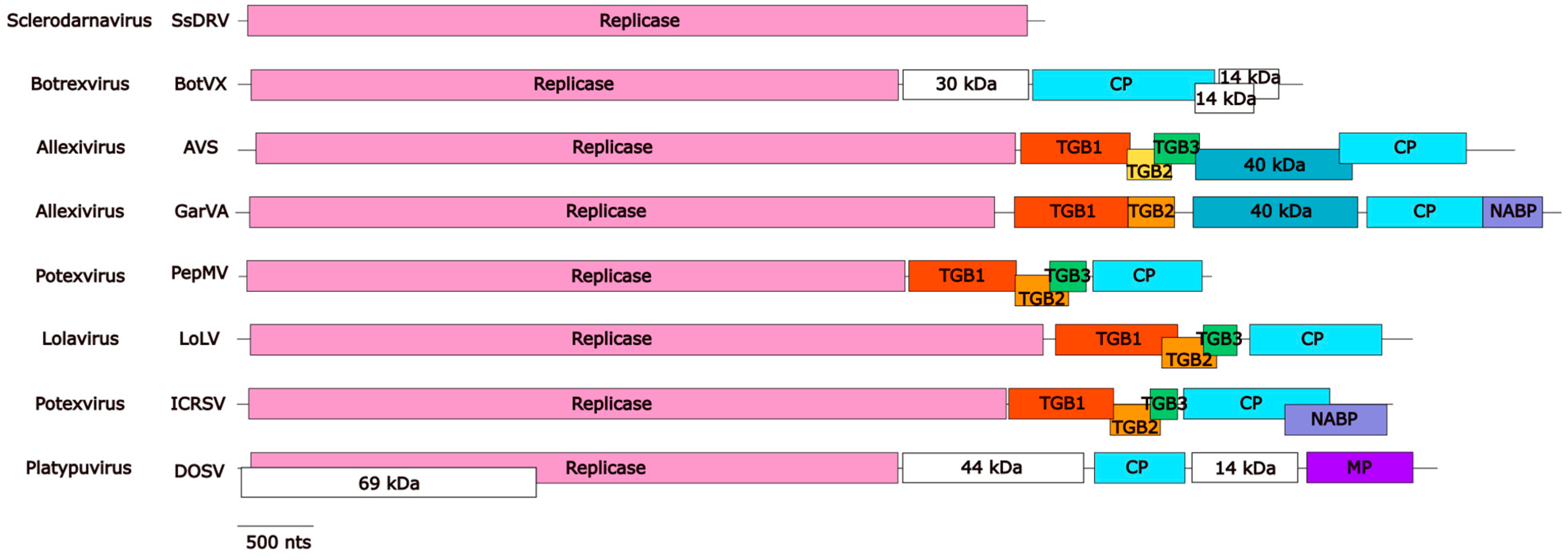 Viruses 17 00611 g001
