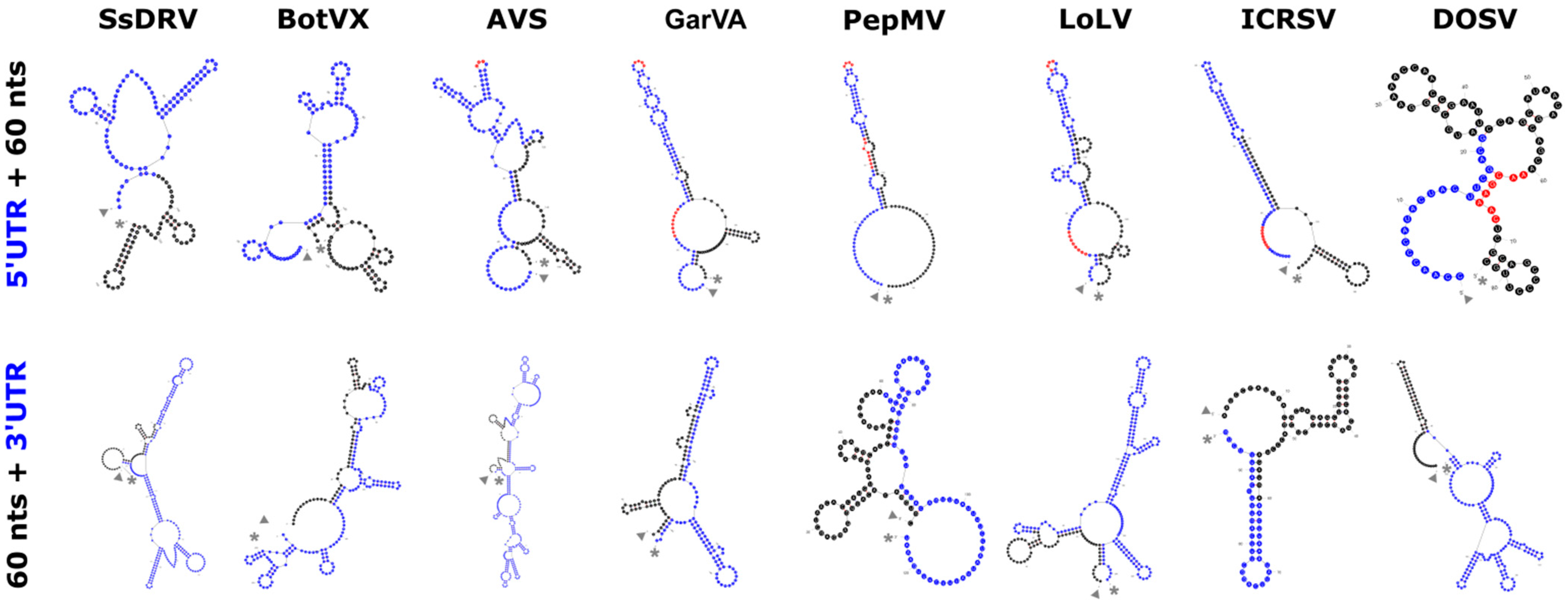 Viruses 17 00611 g002