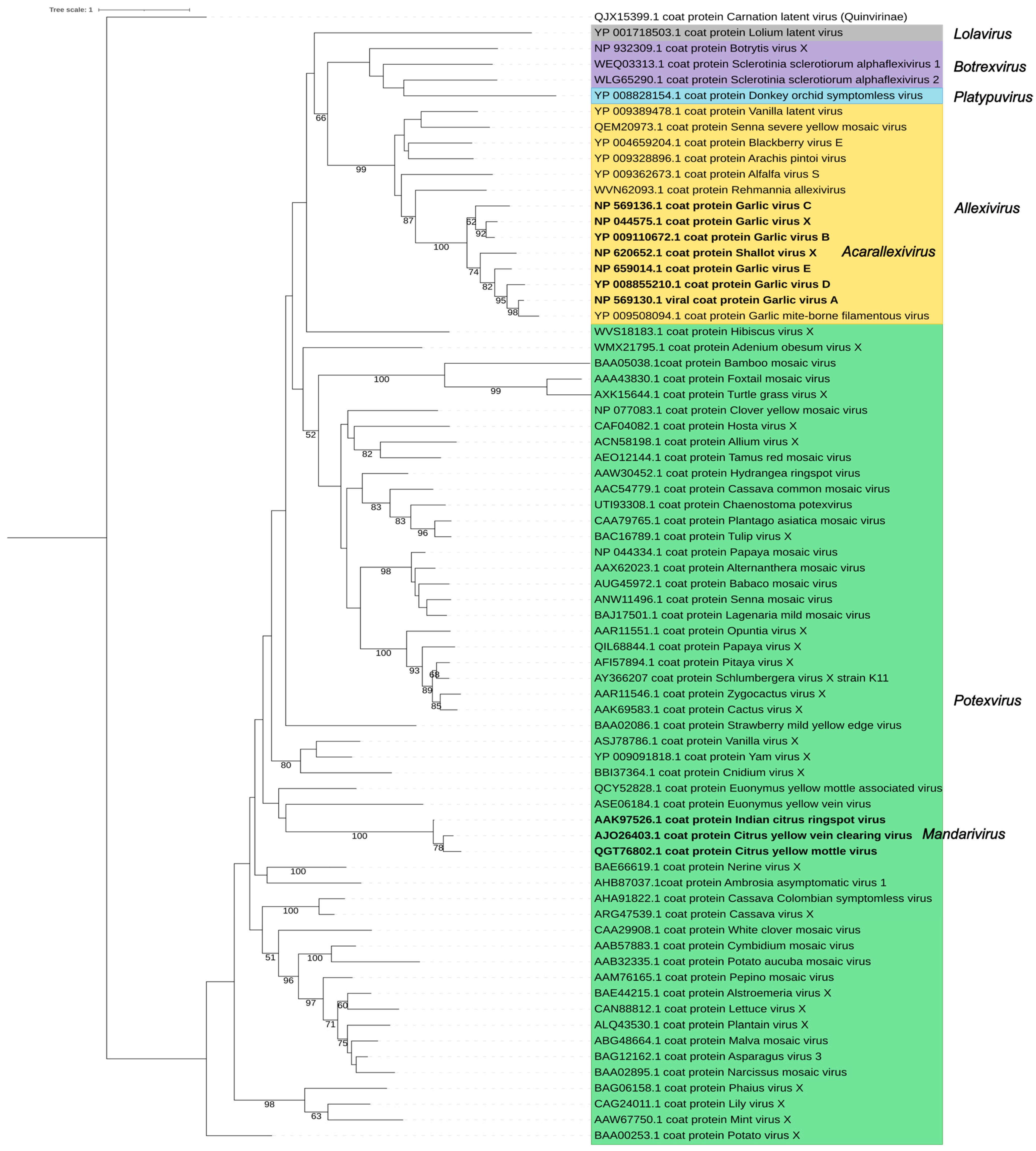 Viruses 17 00611 g006