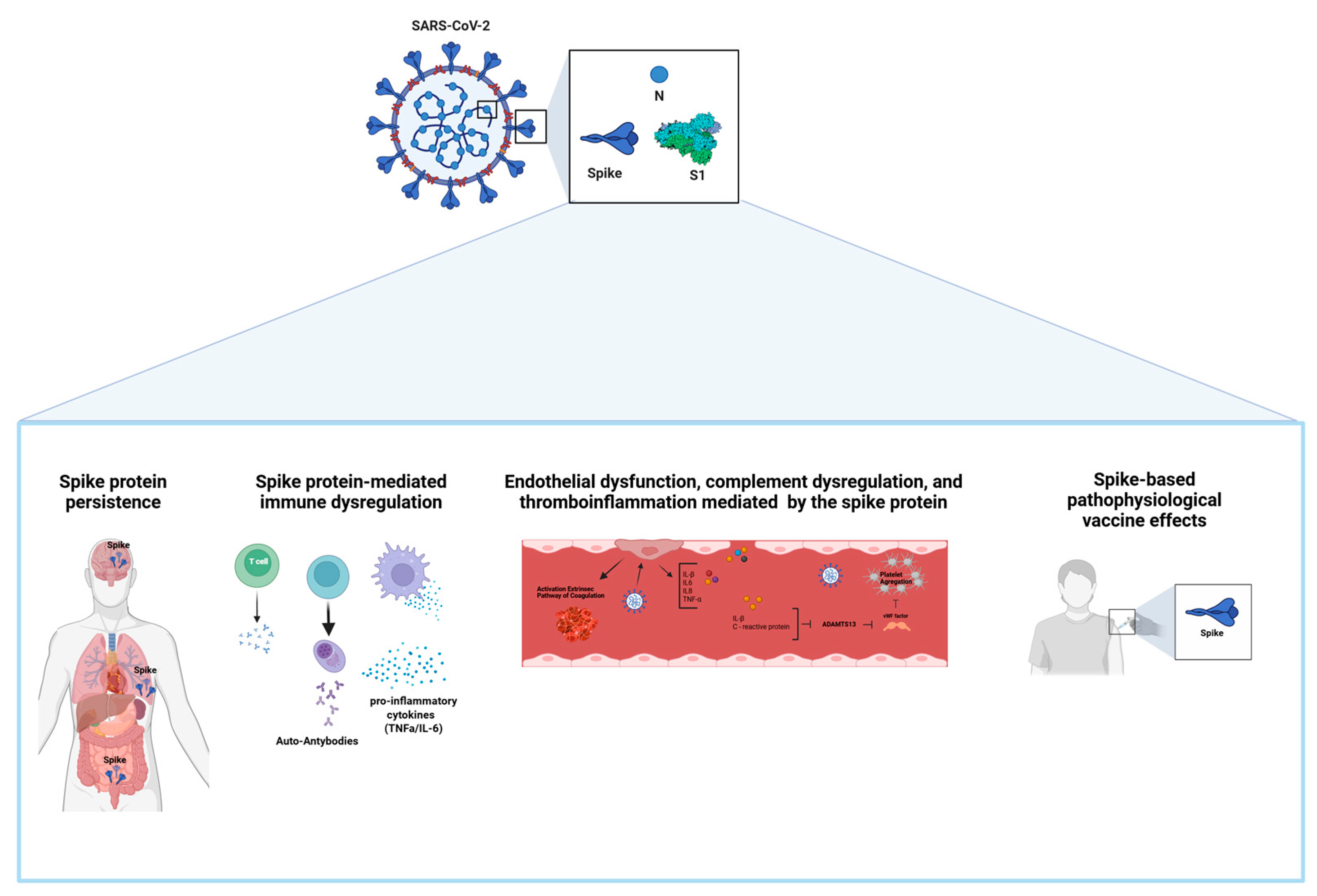 Viruses 17 00617 g001