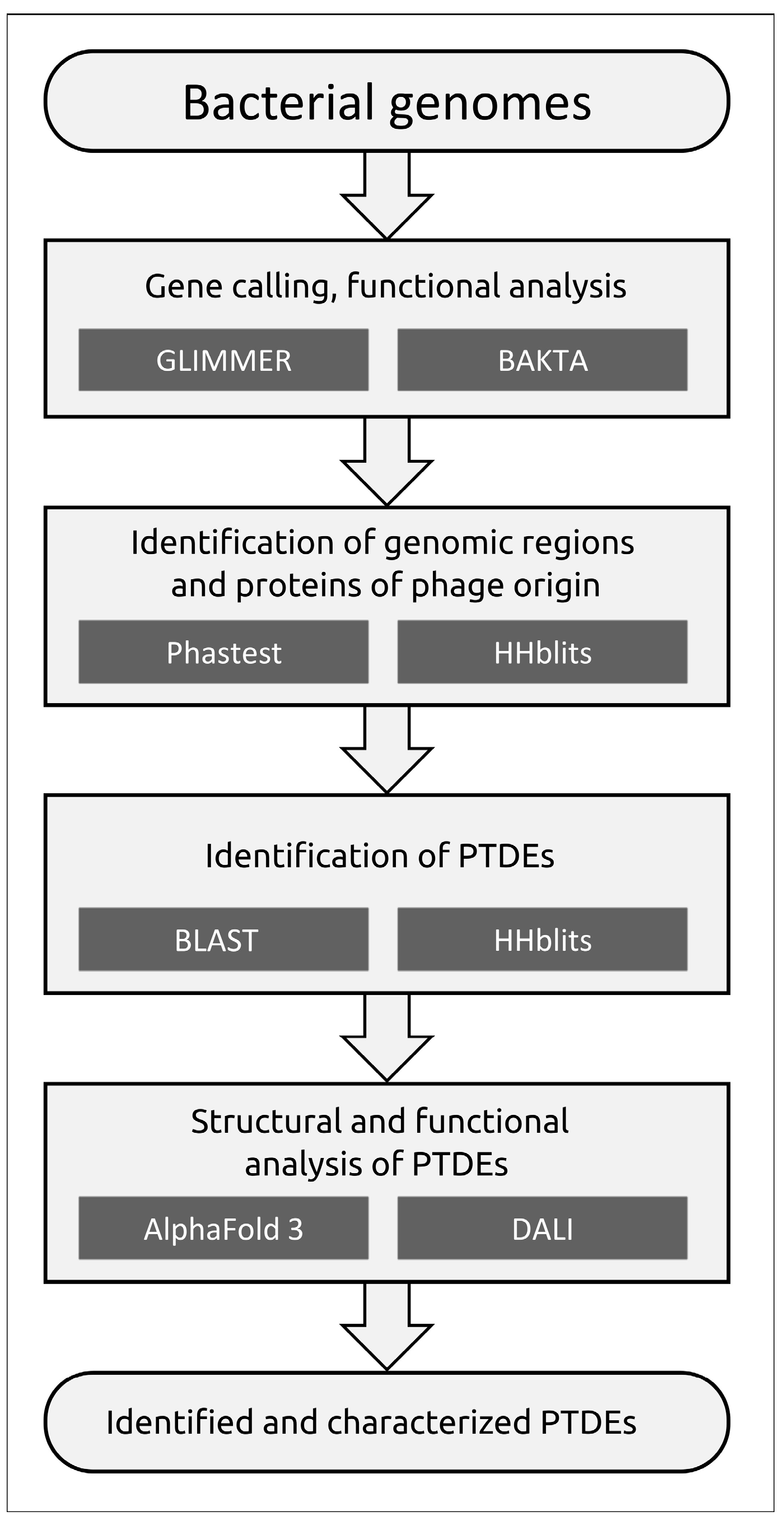 Viruses 17 00623 g003