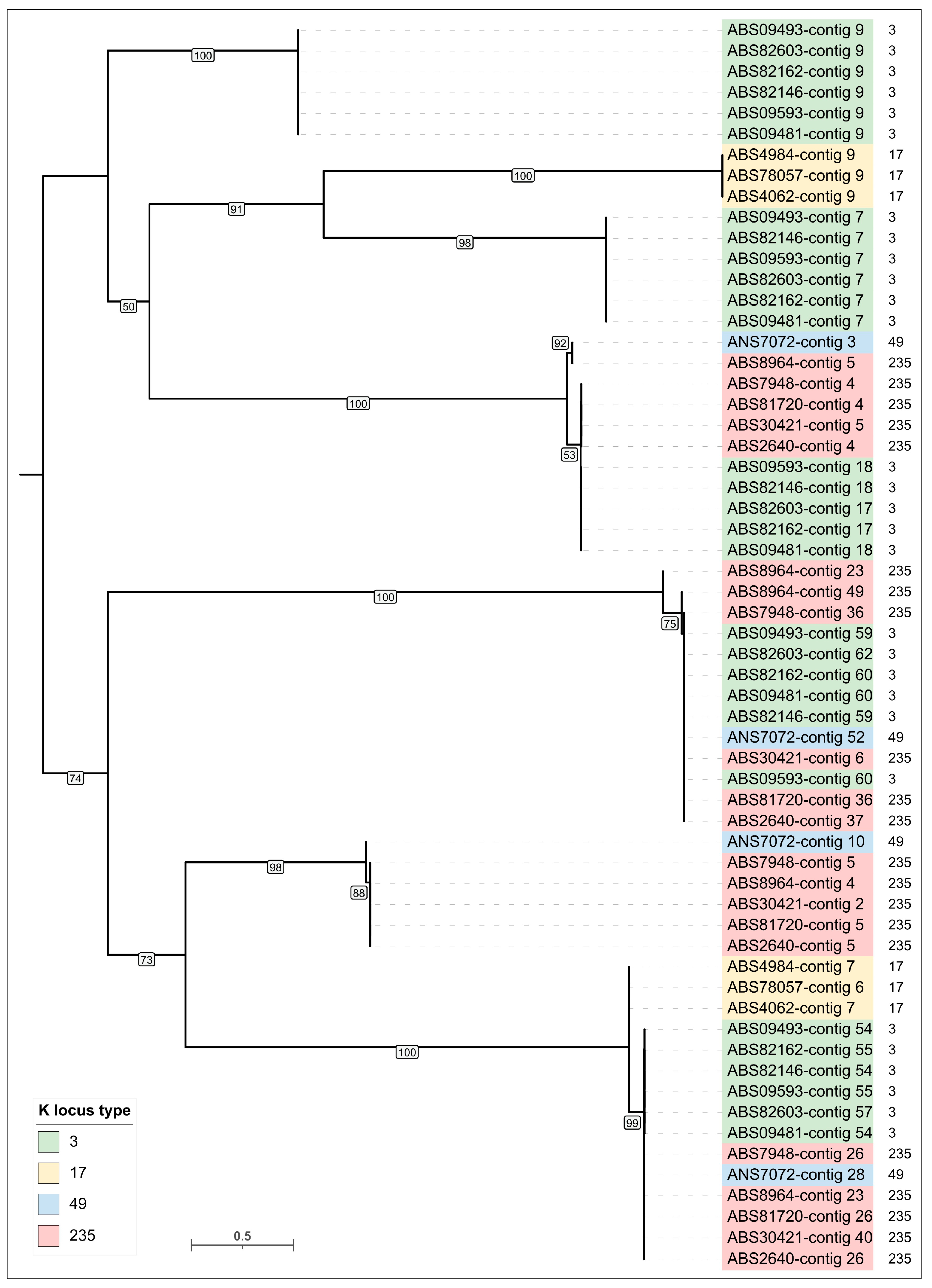 Viruses 17 00623 g004