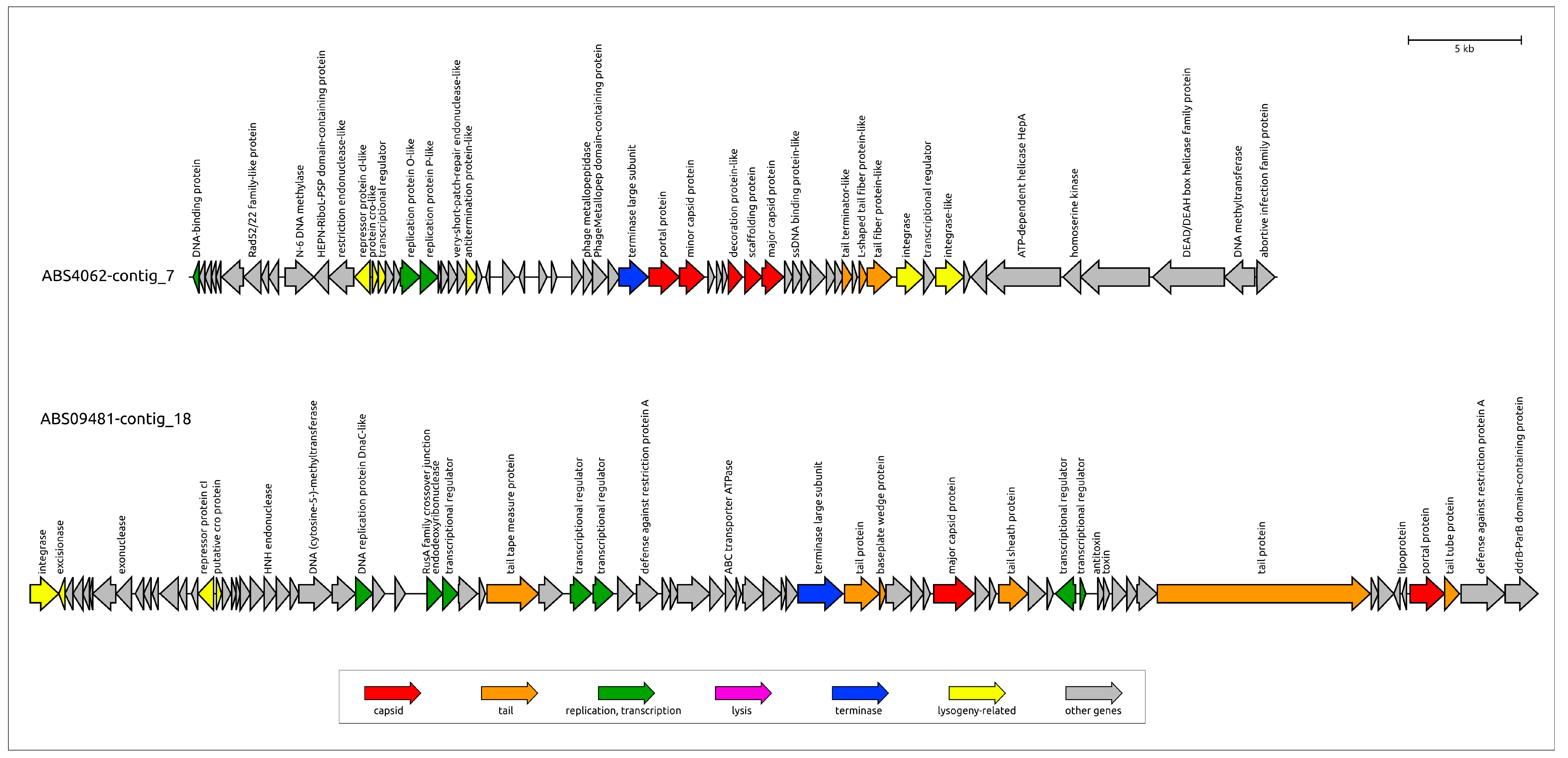 Viruses 17 00623 g006b