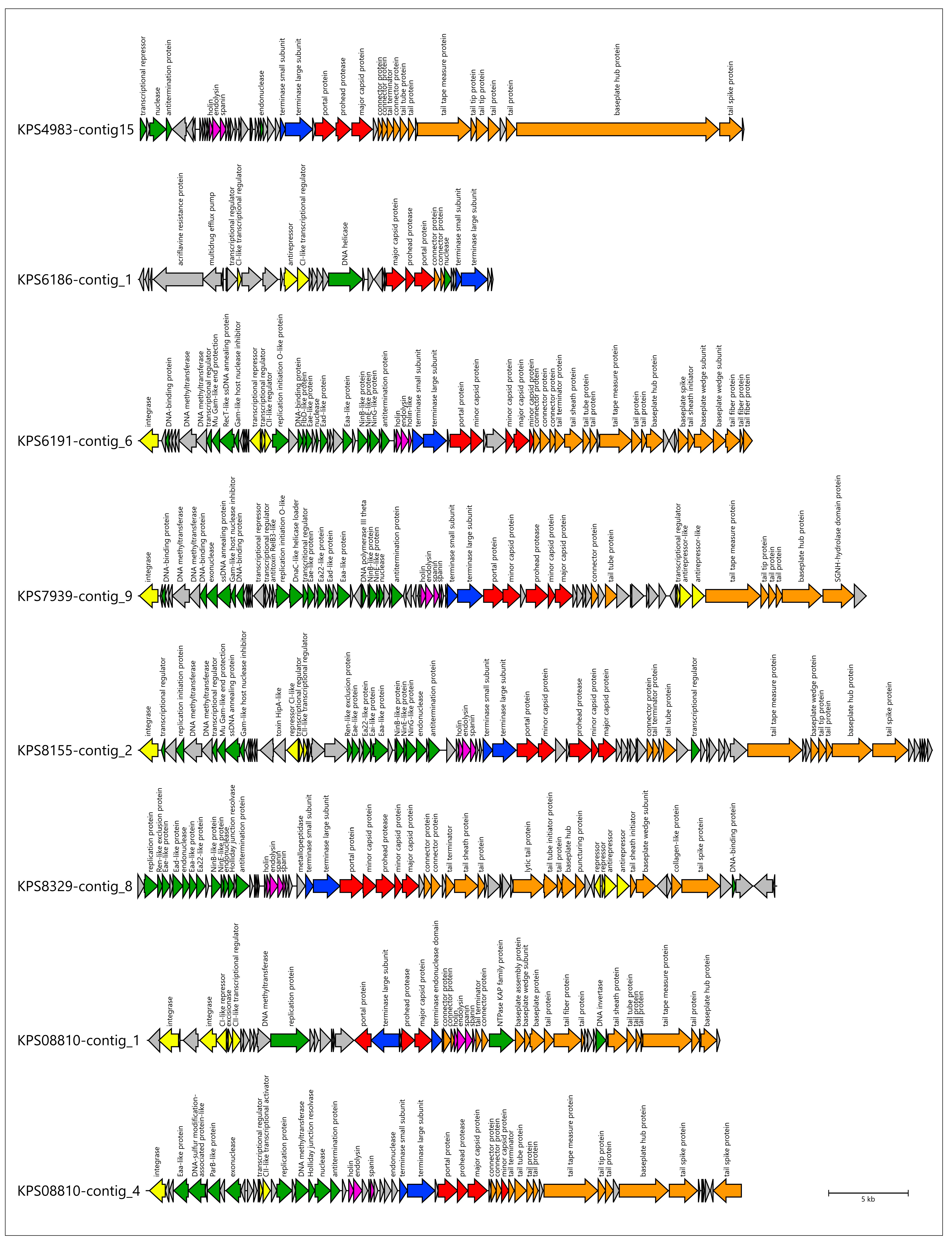 Viruses 17 00623 g009b