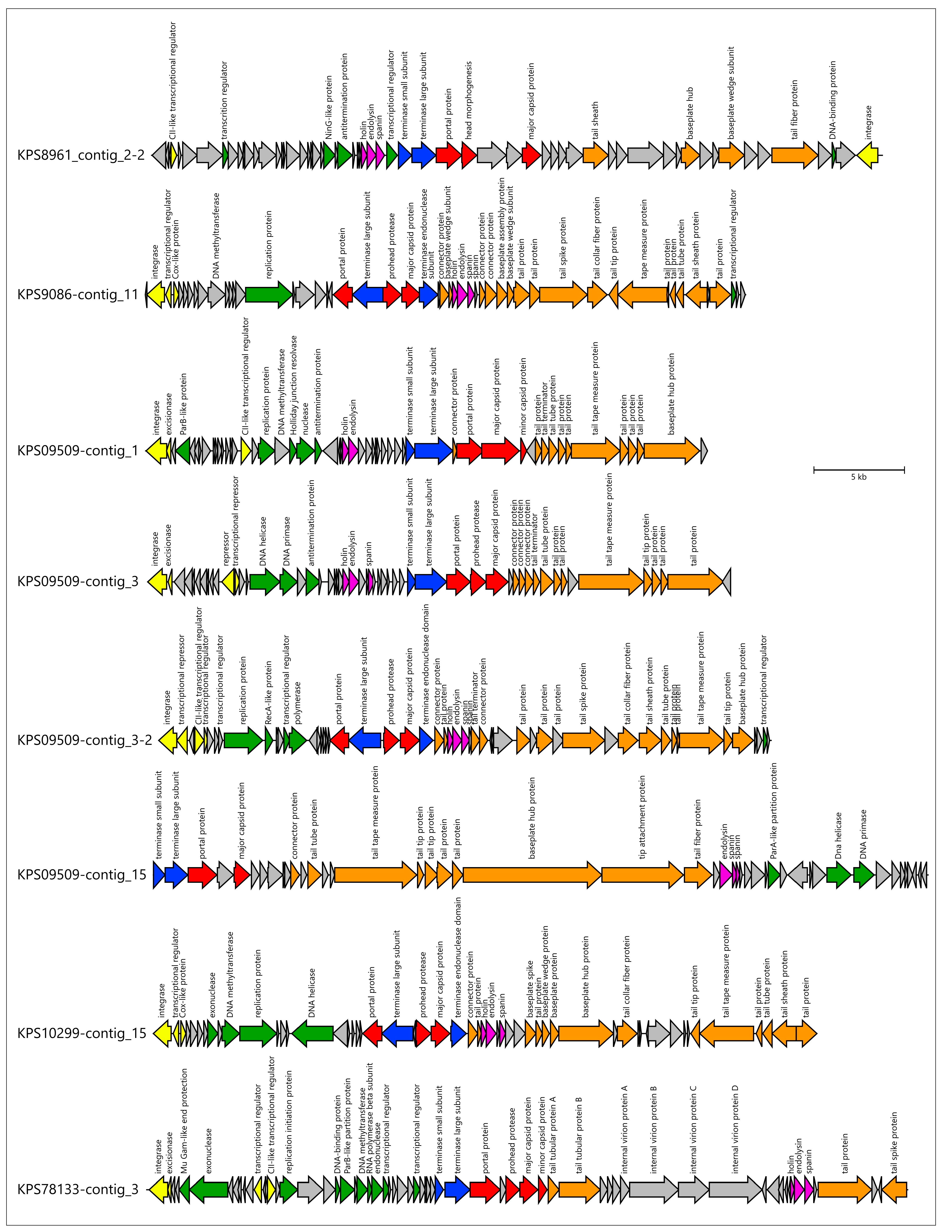 Viruses 17 00623 g009c