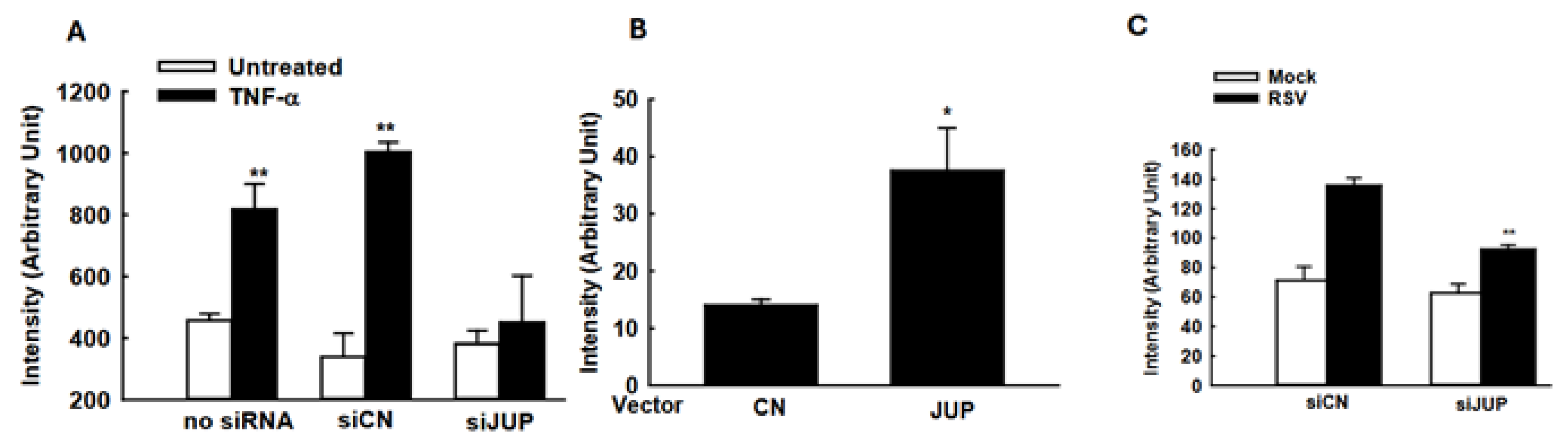 Viruses 17 00627 g006