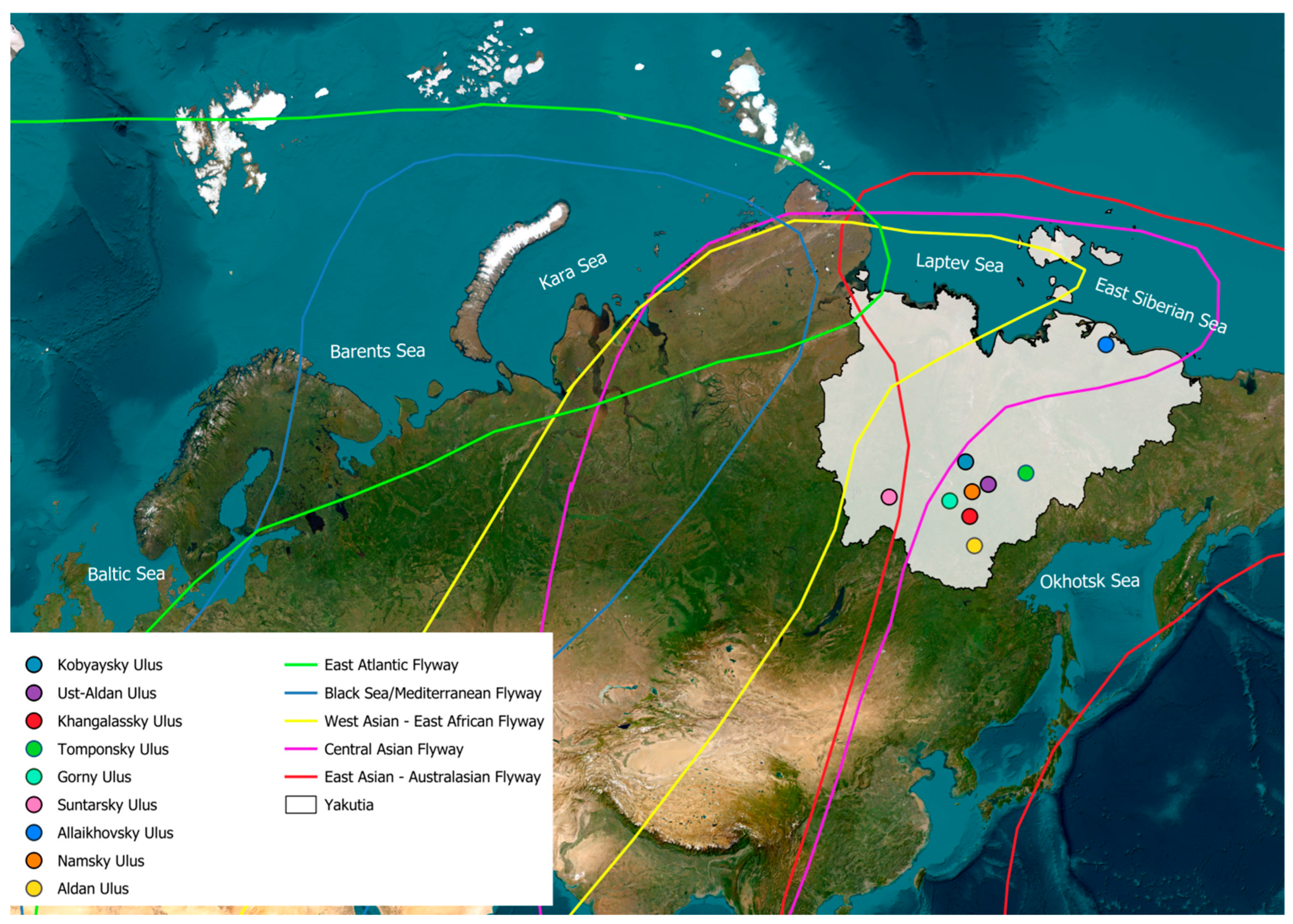 Viruses 17 00632 g001