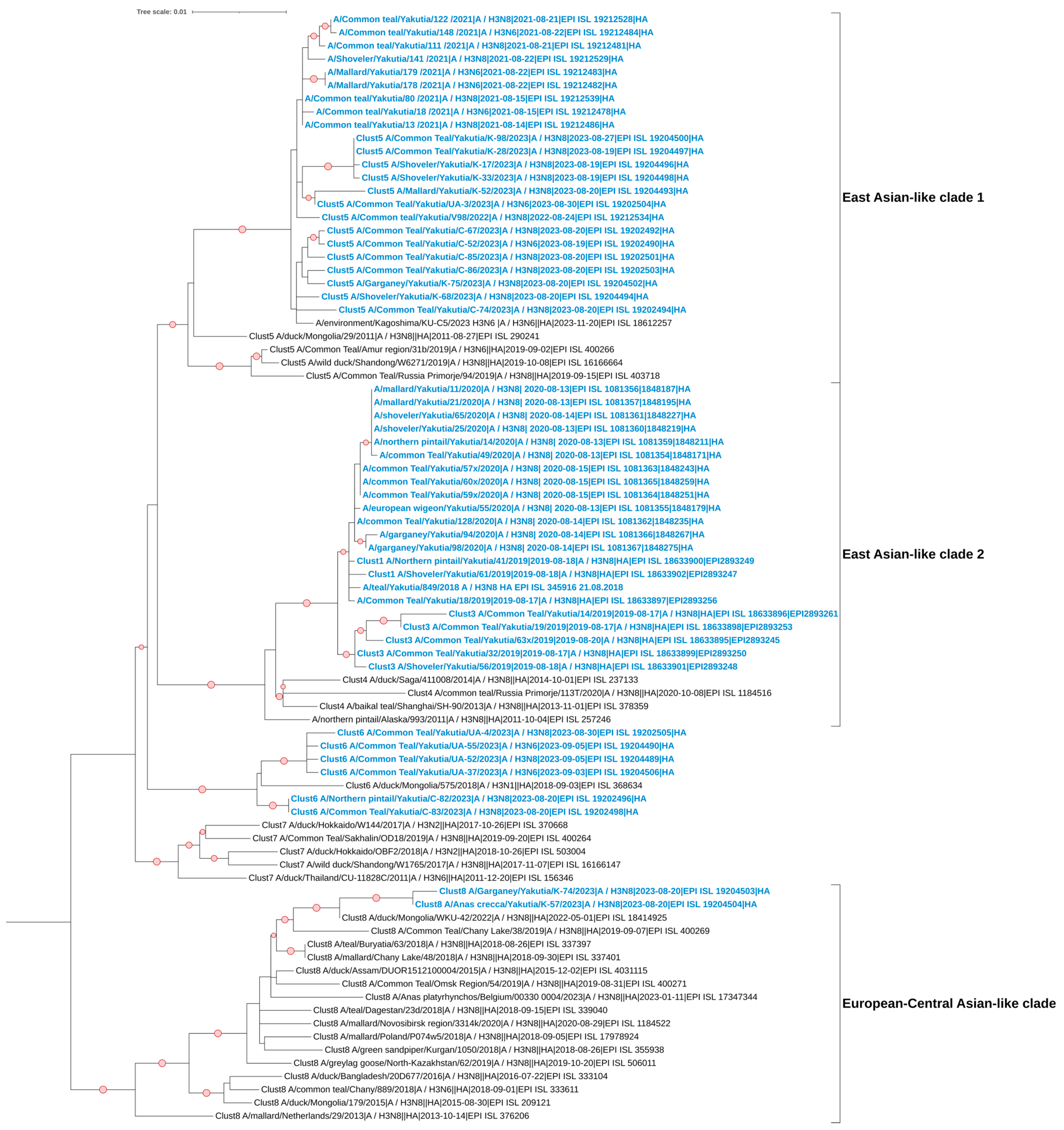 Viruses 17 00632 g002