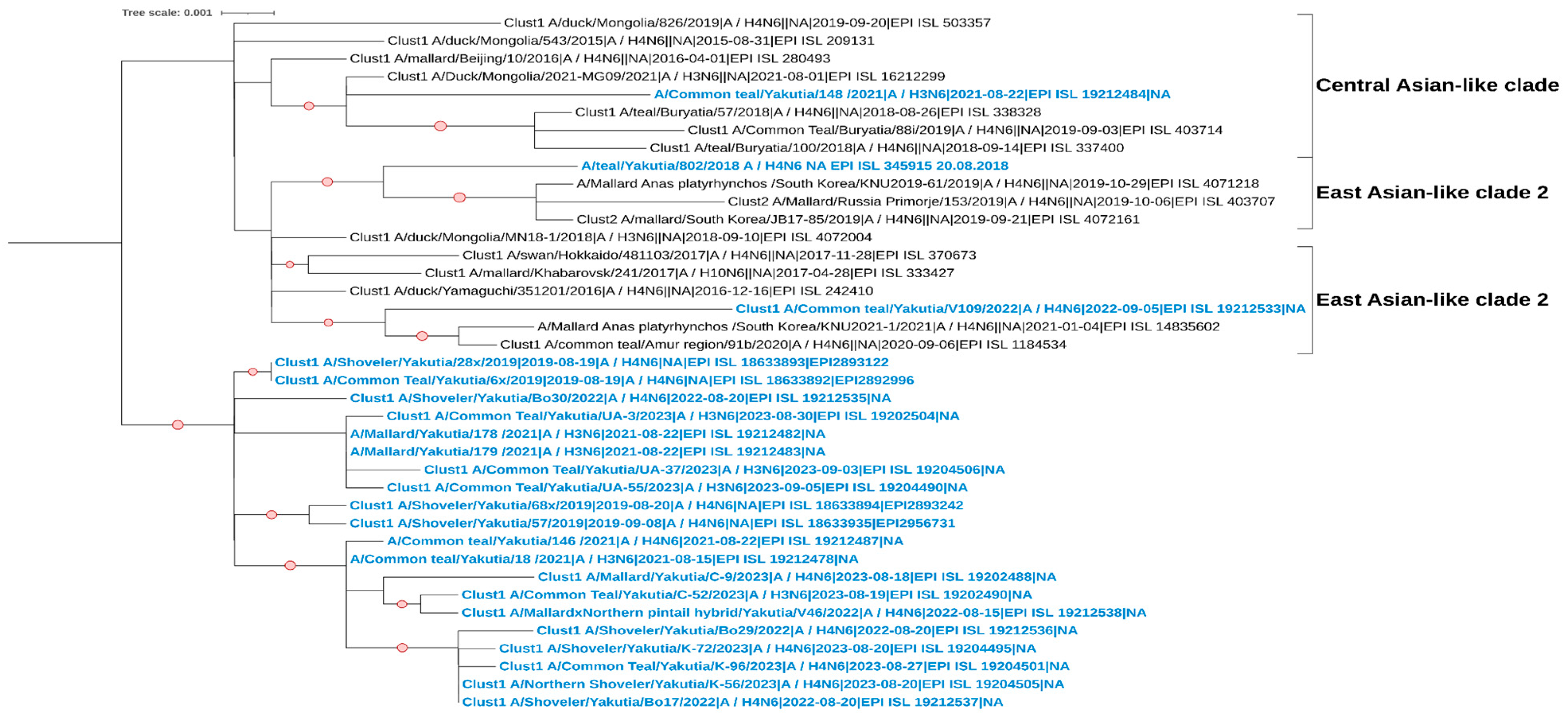 Viruses 17 00632 g004