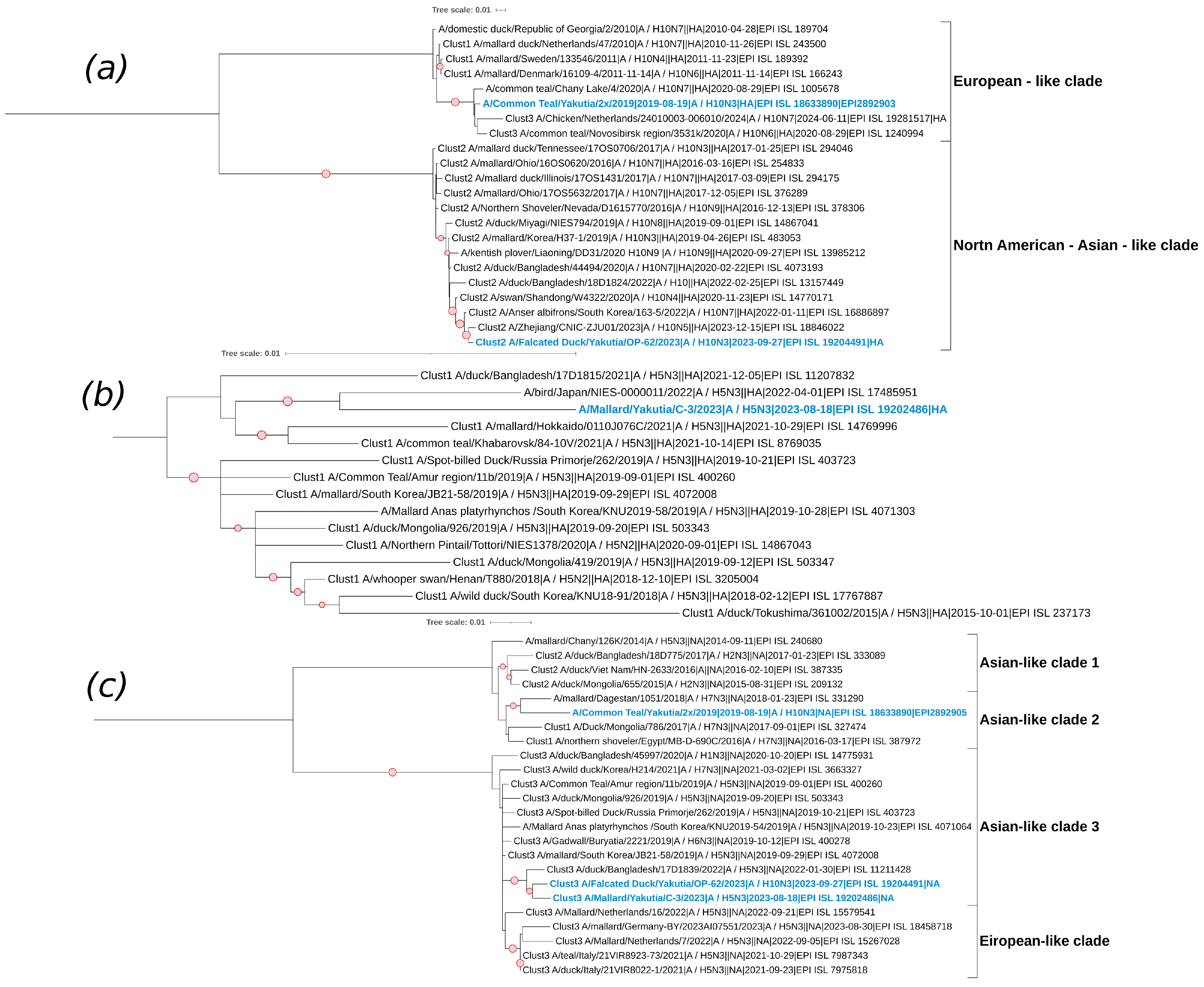 Viruses 17 00632 g008