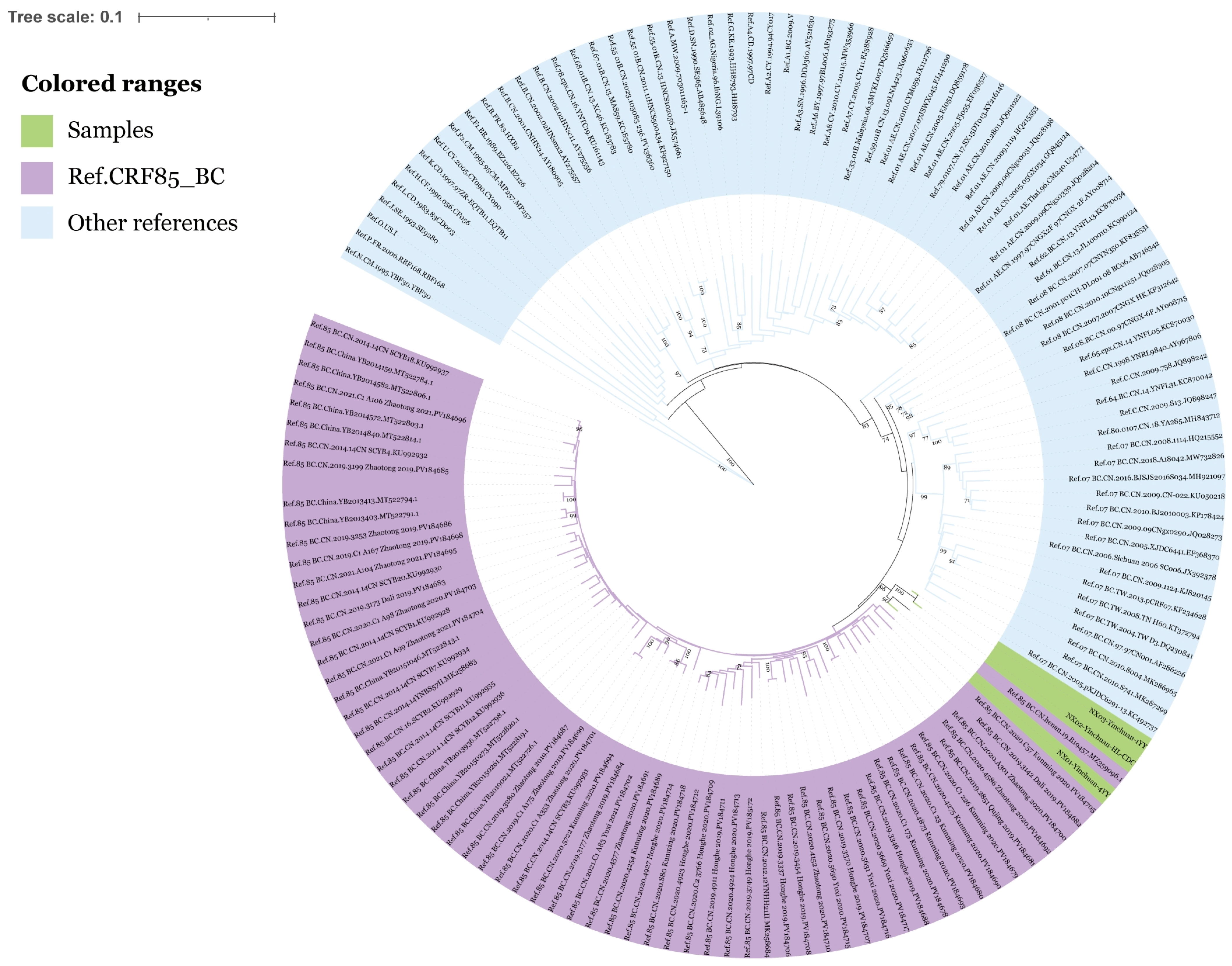 Viruses 17 00655 g001