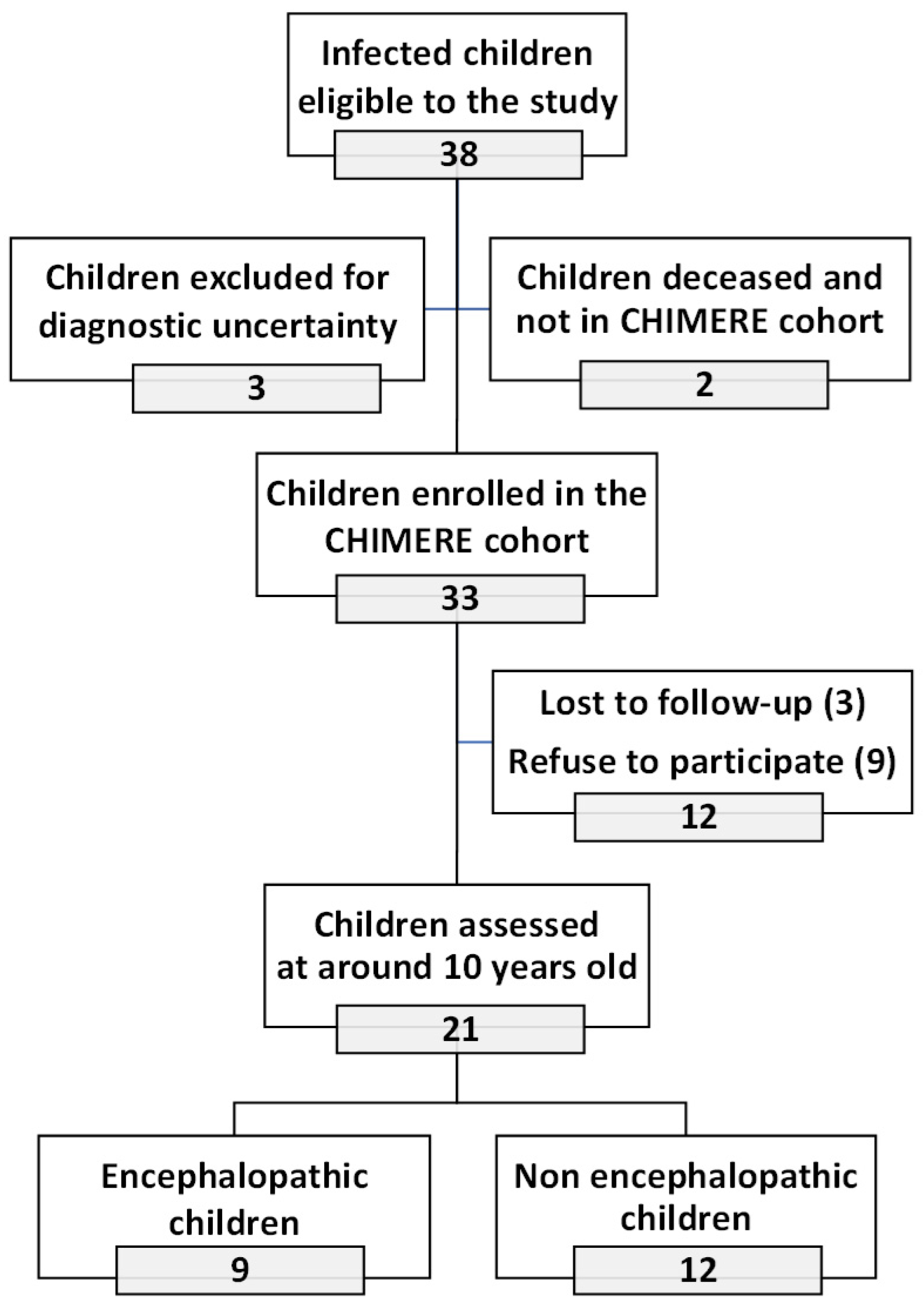 Viruses 17 00704 g001