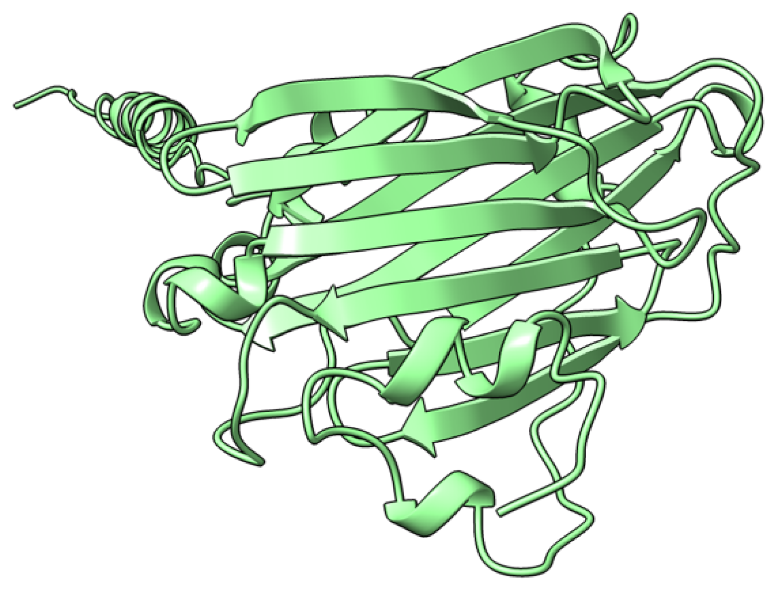 Viruses 17 01145 g004 Viruses 17 01145 g004