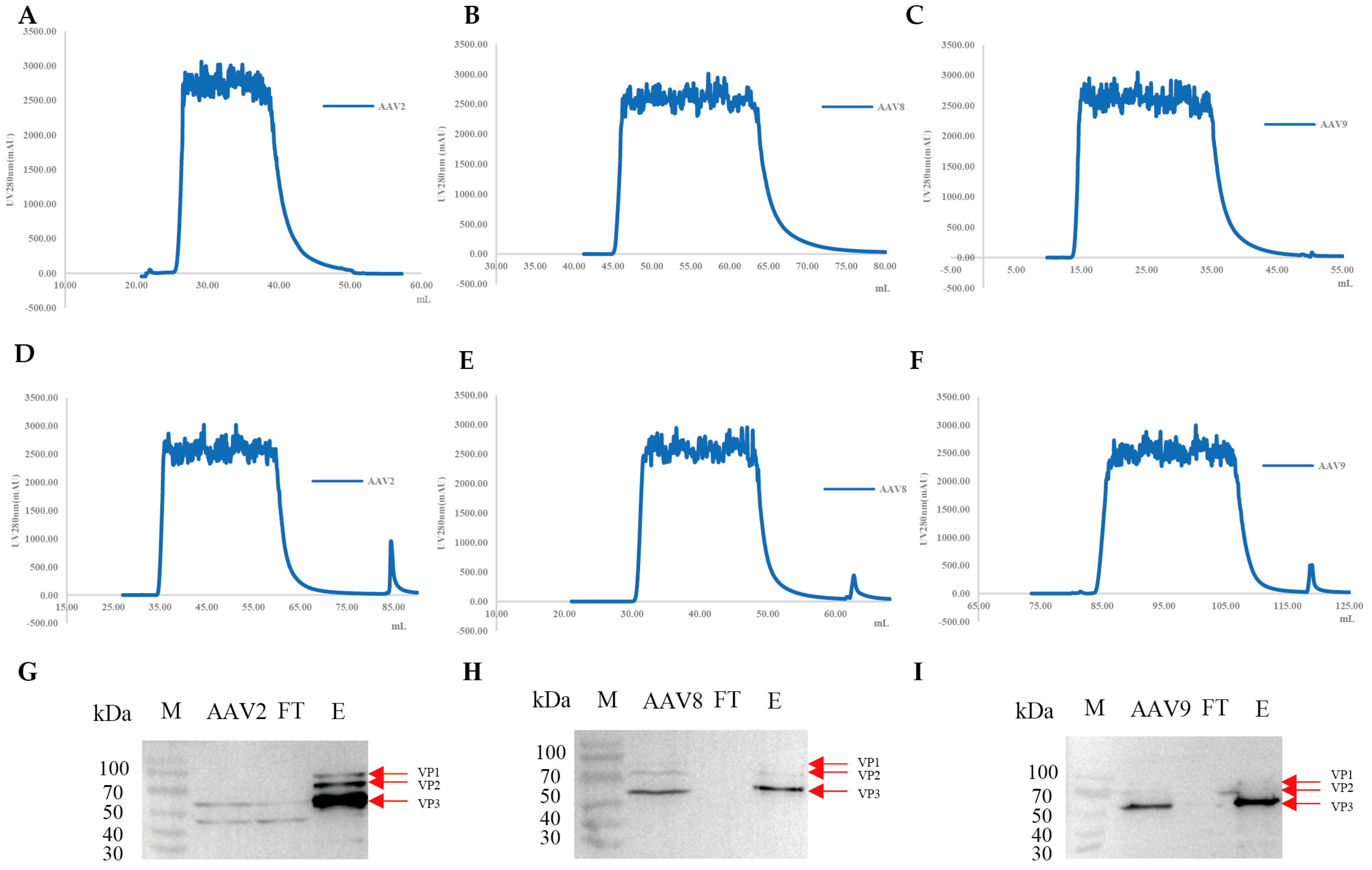 Viruses 17 01289 g004 Viruses 17 01289 g004