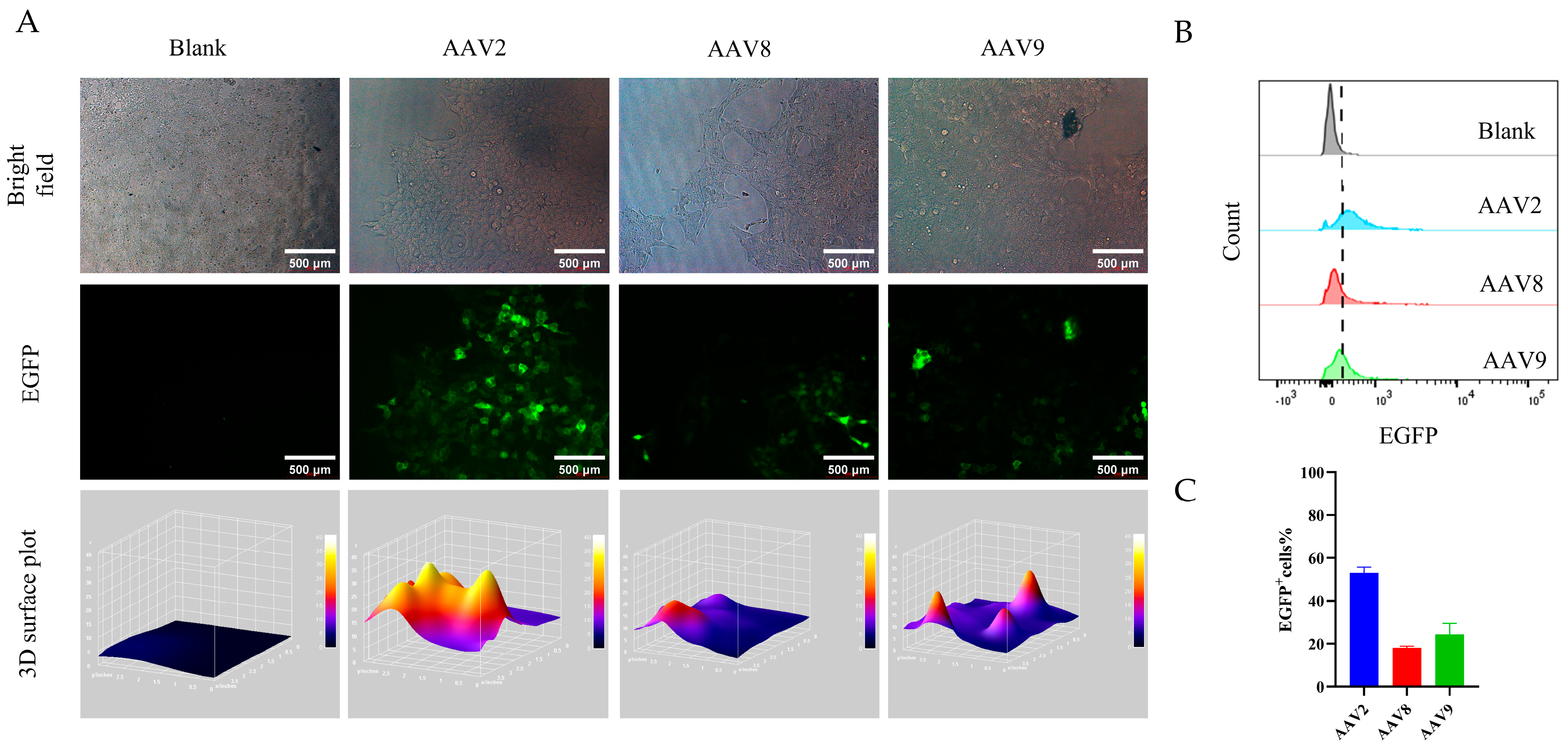 Viruses 17 01289 g005 Viruses 17 01289 g005