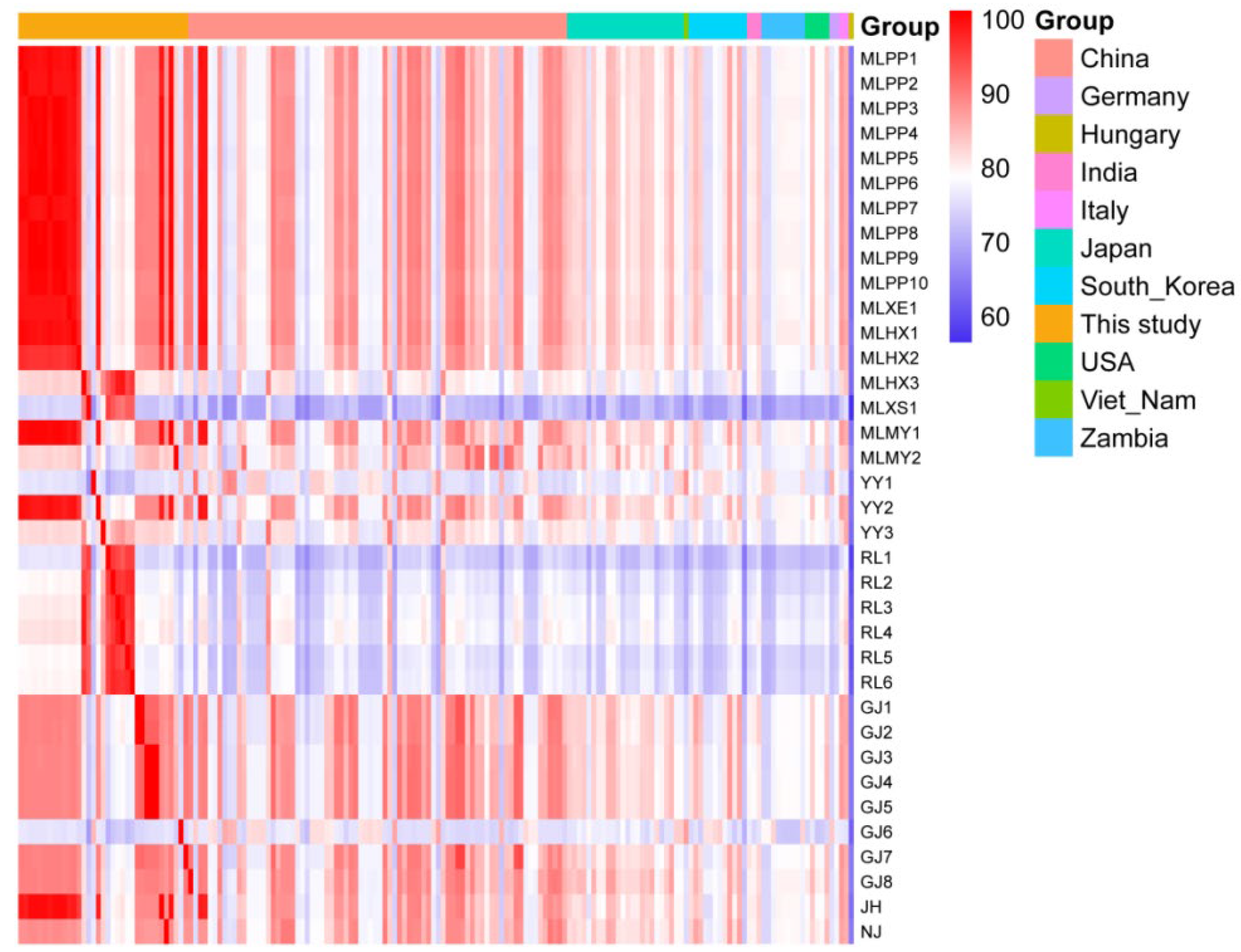 Viruses 17 01336 g005 Viruses 17 01336 g005