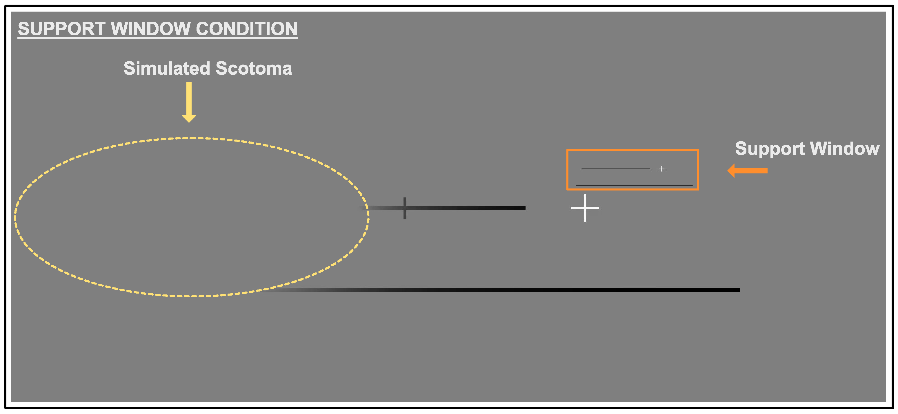 Vision 06 00067 g003