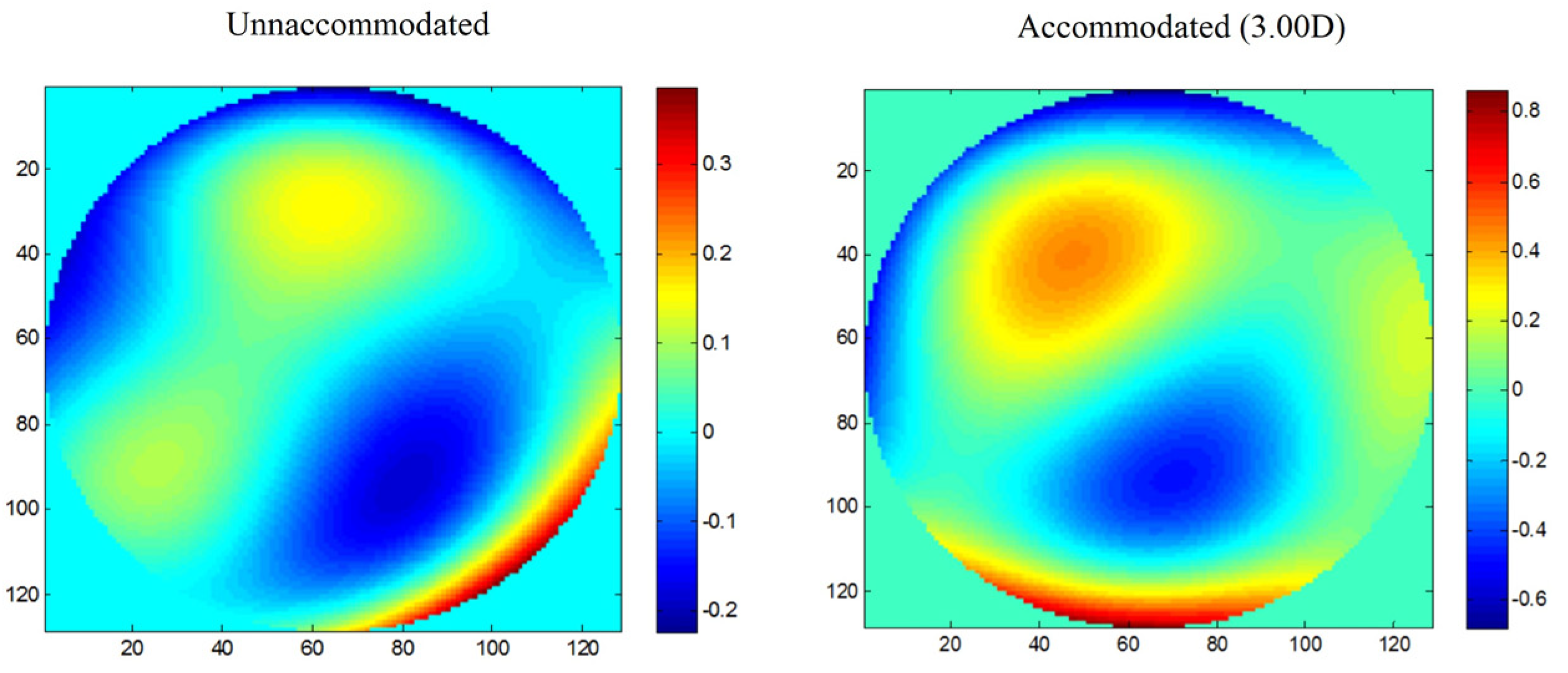 Vision 07 00019 g003