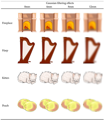 Vision 08 00018 i002 Vision 08 00018 i002