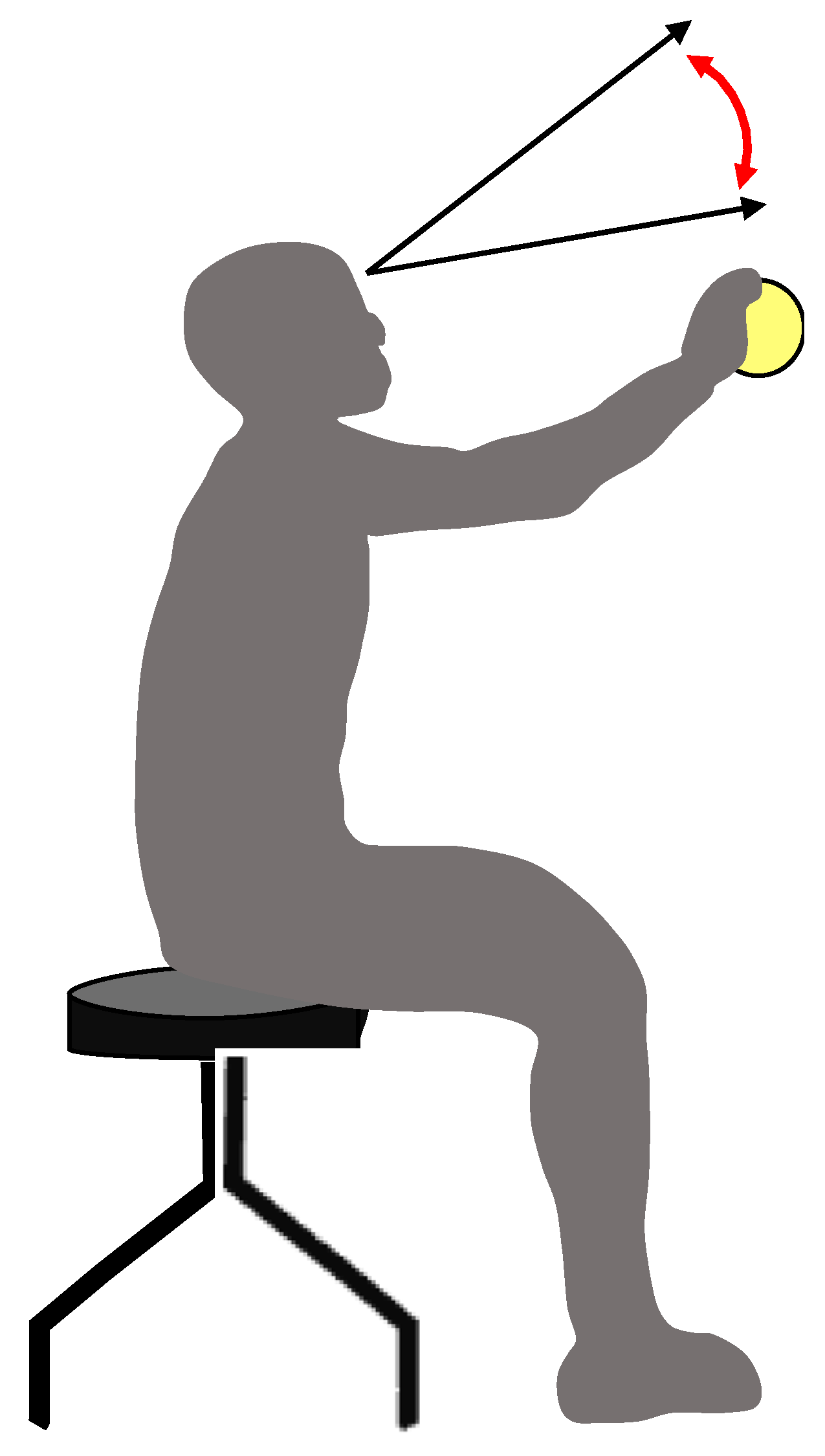 Vision 08 00020 g001 Vision 08 00020 g001