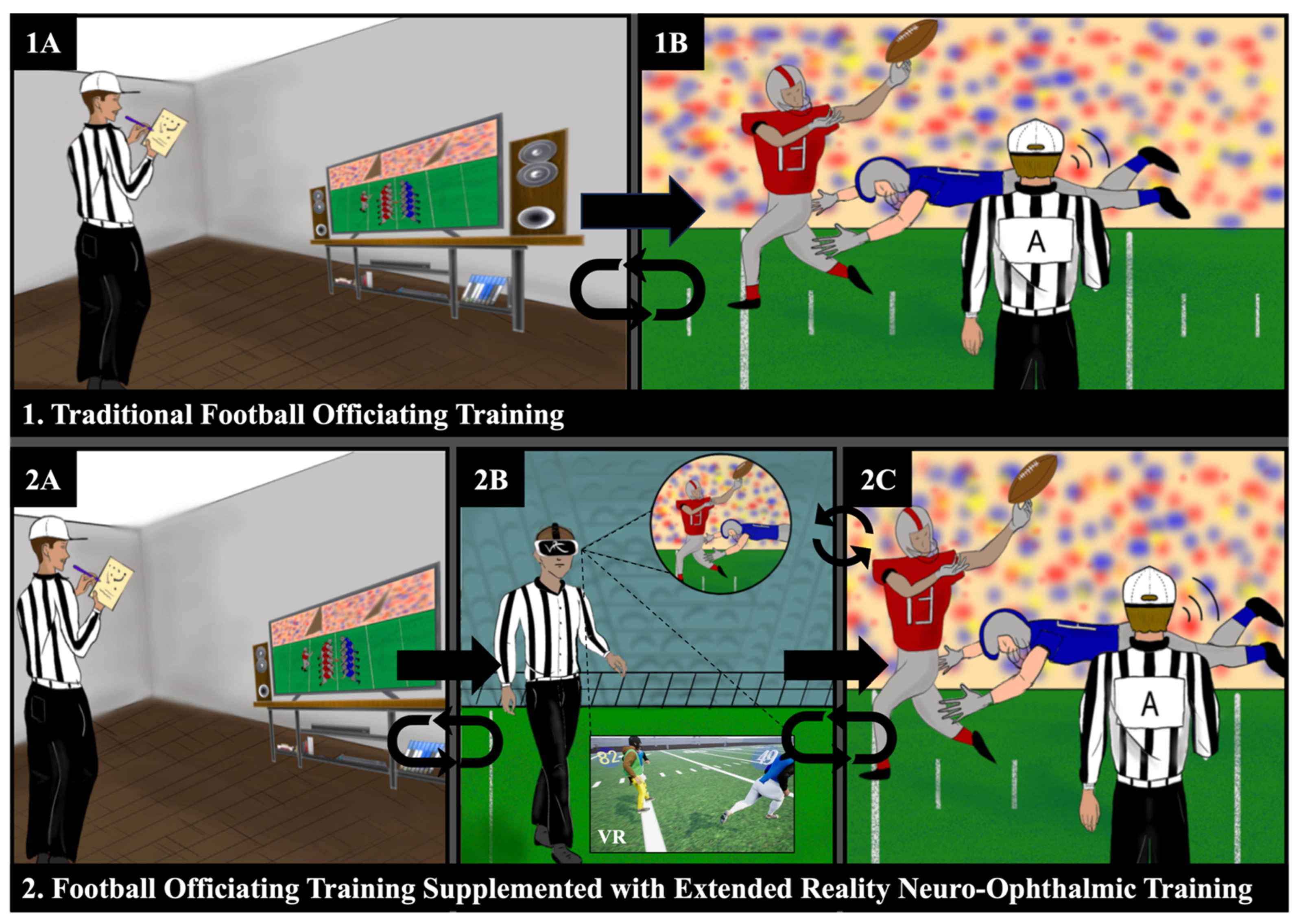 Vision 08 00035 g001