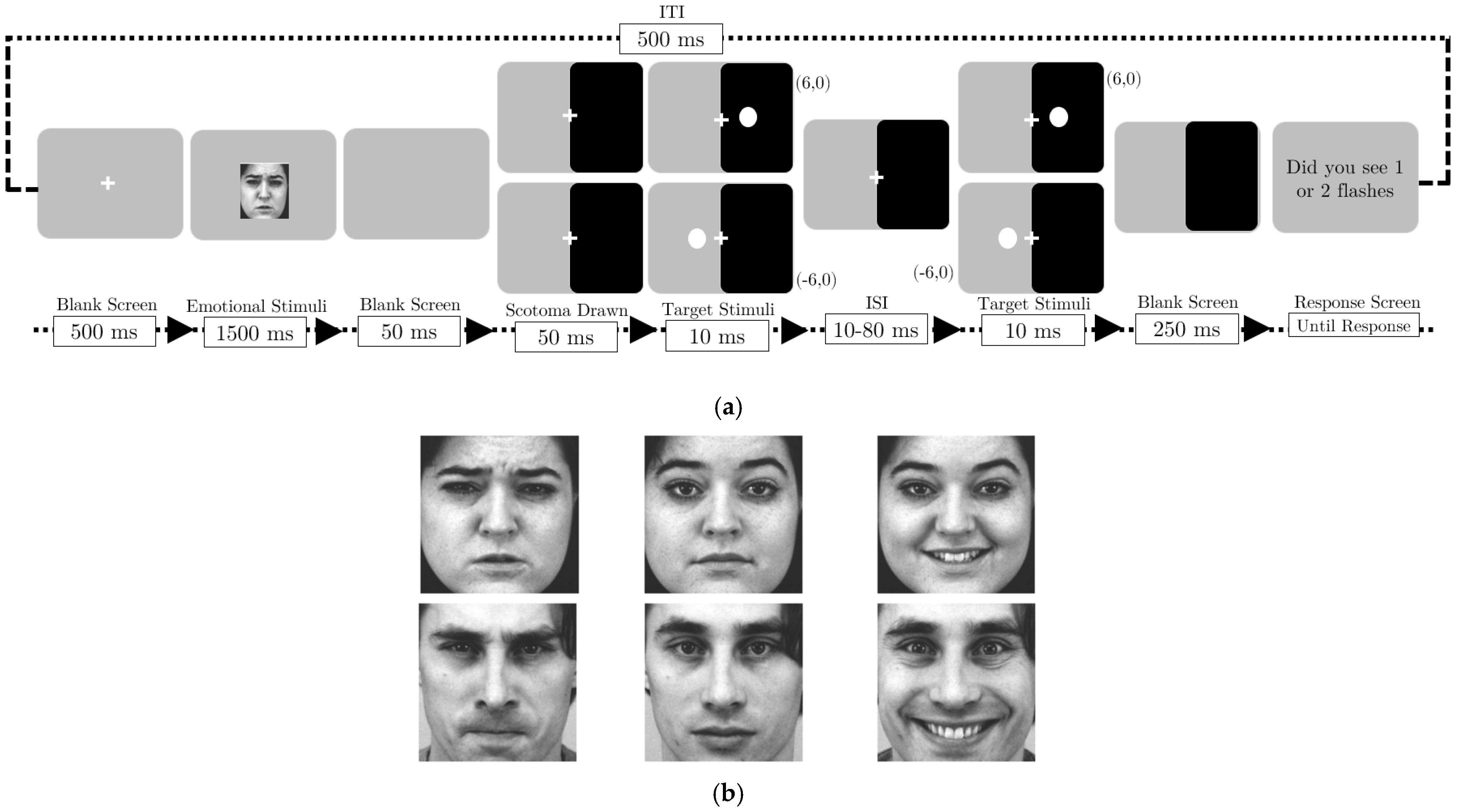 Vision 09 00079 g002 Vision 09 00079 g002