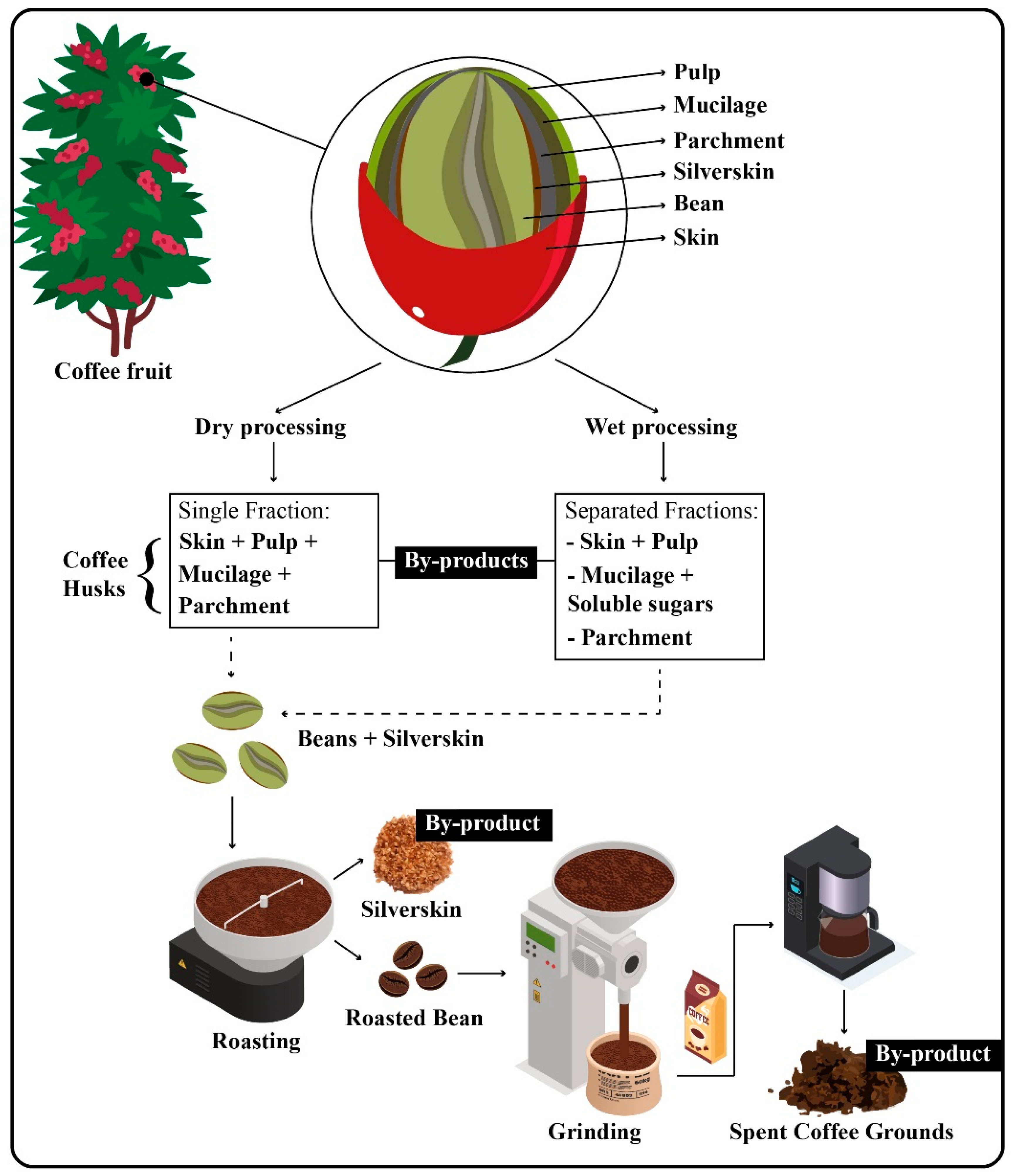 Waste | Free Full-Text | Spent Coffee Grounds Characterization and Reuse in  Composting and Soil Amendment