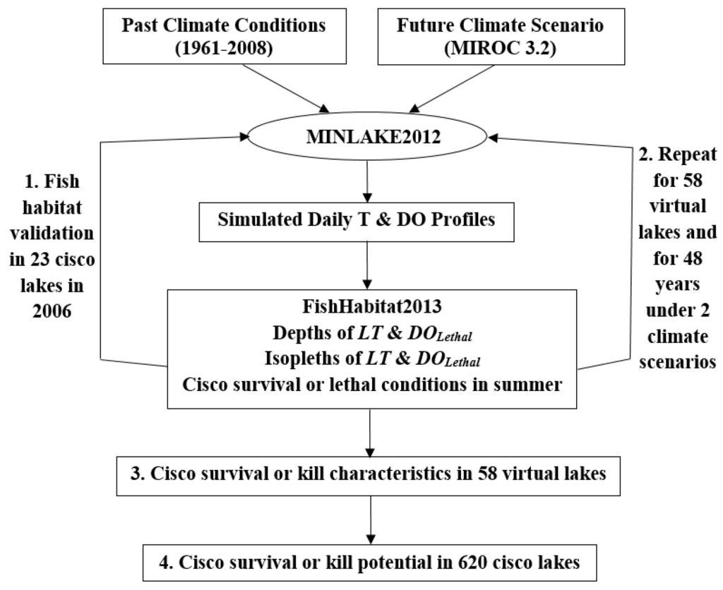 Living Inside the Cisco Layer – Fish Habitat Section of the American  Fisheries Society