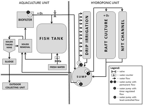 aquaponics system catfish plans diy