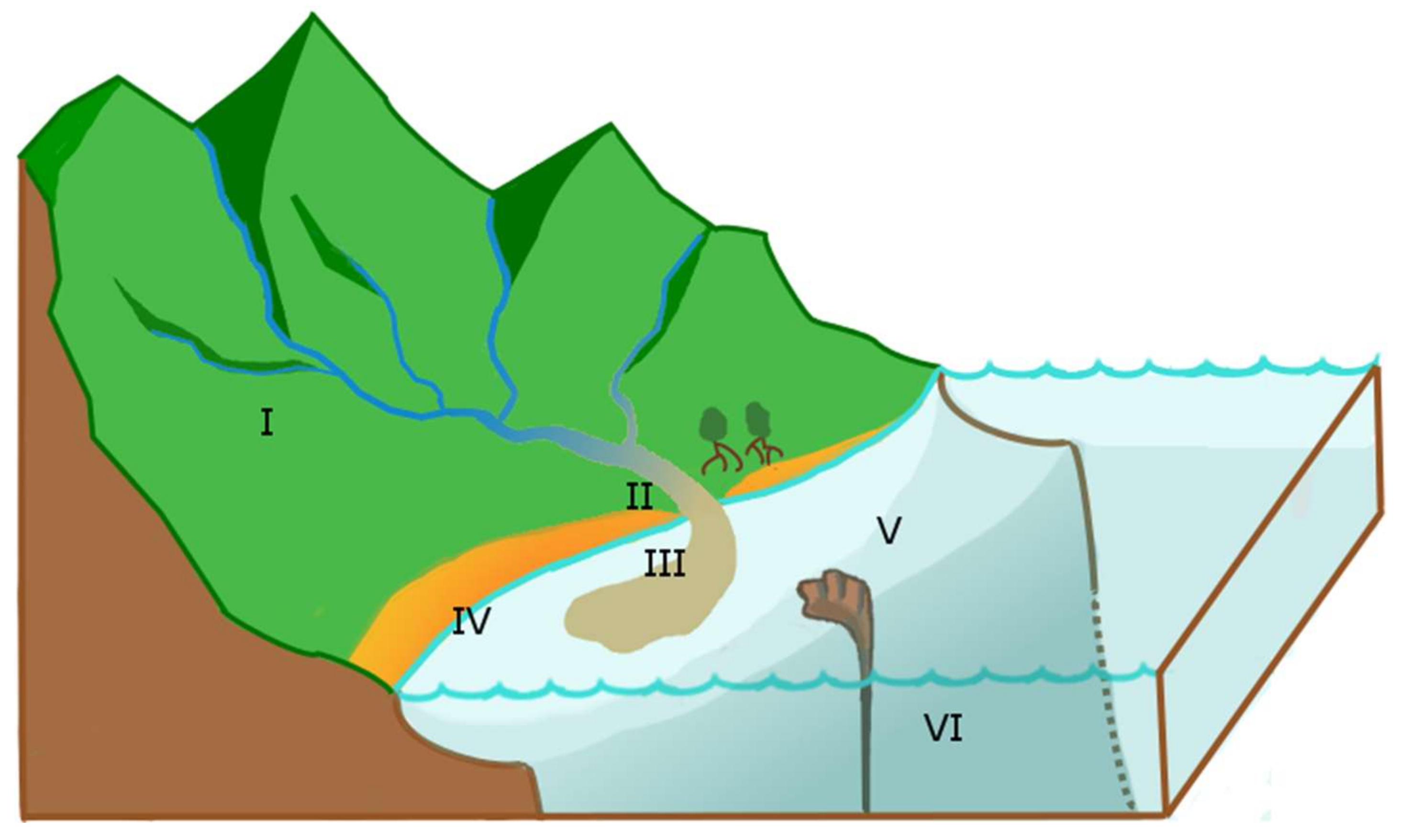 Water | Free Full-Text | Why and How Do We Study Sediment Transport? Focus  on Coastal Zones and Ongoing Methods