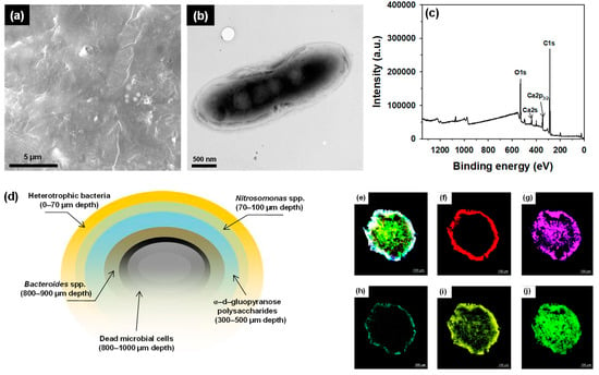 Water Free Full Text Removal Of Total Dissolved Solids From Reverse Osmosis Concentrates From A Municipal Wastewater Reclamation Plant By Aerobic Granular Sludge Html