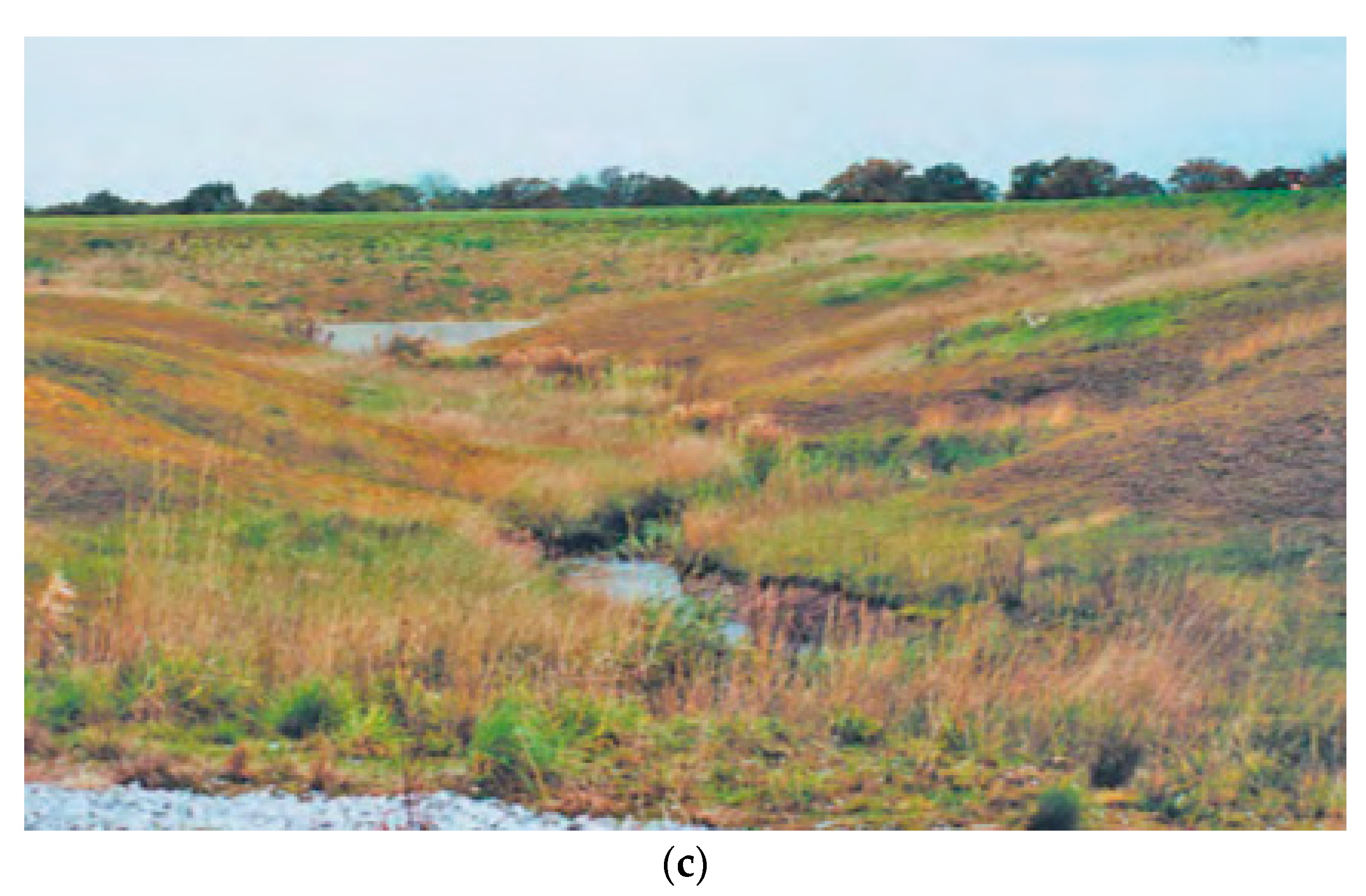 Water 10 01360 g012b