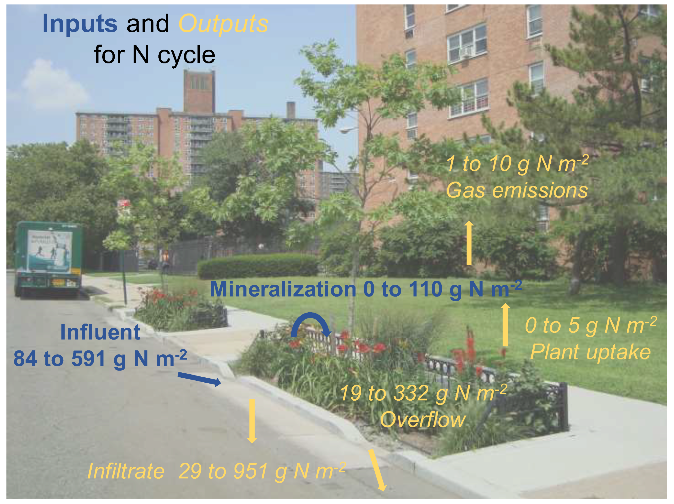 Water | Free Full-Text | Quantifying Urban Bioswale Nitrogen Cycling in the  Soil, Gas, and Plant Phases