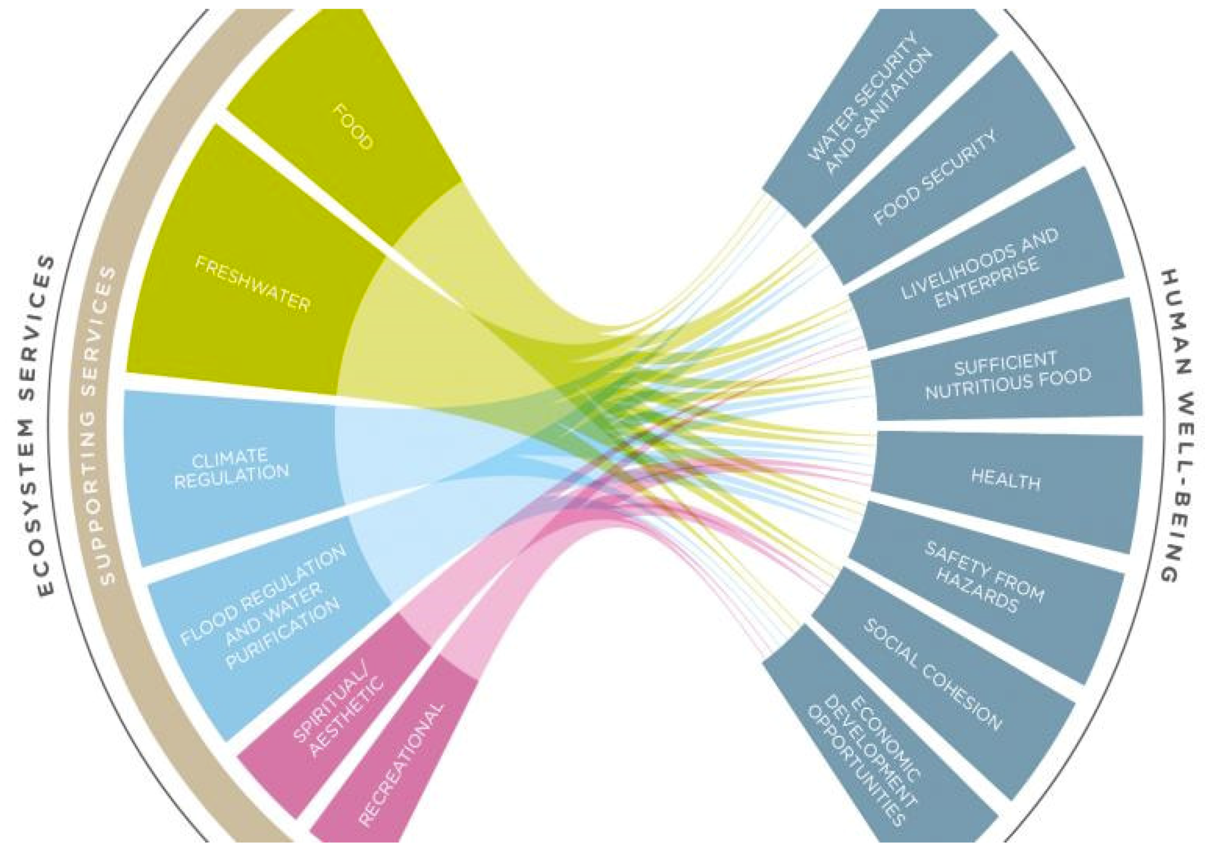 Human links. Water ecosystem services. Велл биинг. Экосистема инфографика. Human Wellbeing.