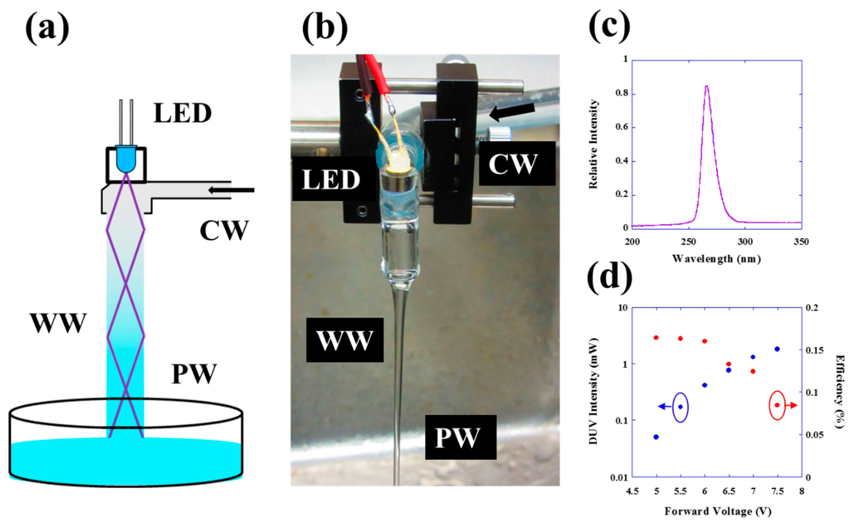 Water | Free Full-Text | Instantaneous Water Purification by Deep Ultraviolet  Light in Water Waveguide: Escherichia Coli Bacteria Disinfection | HTML