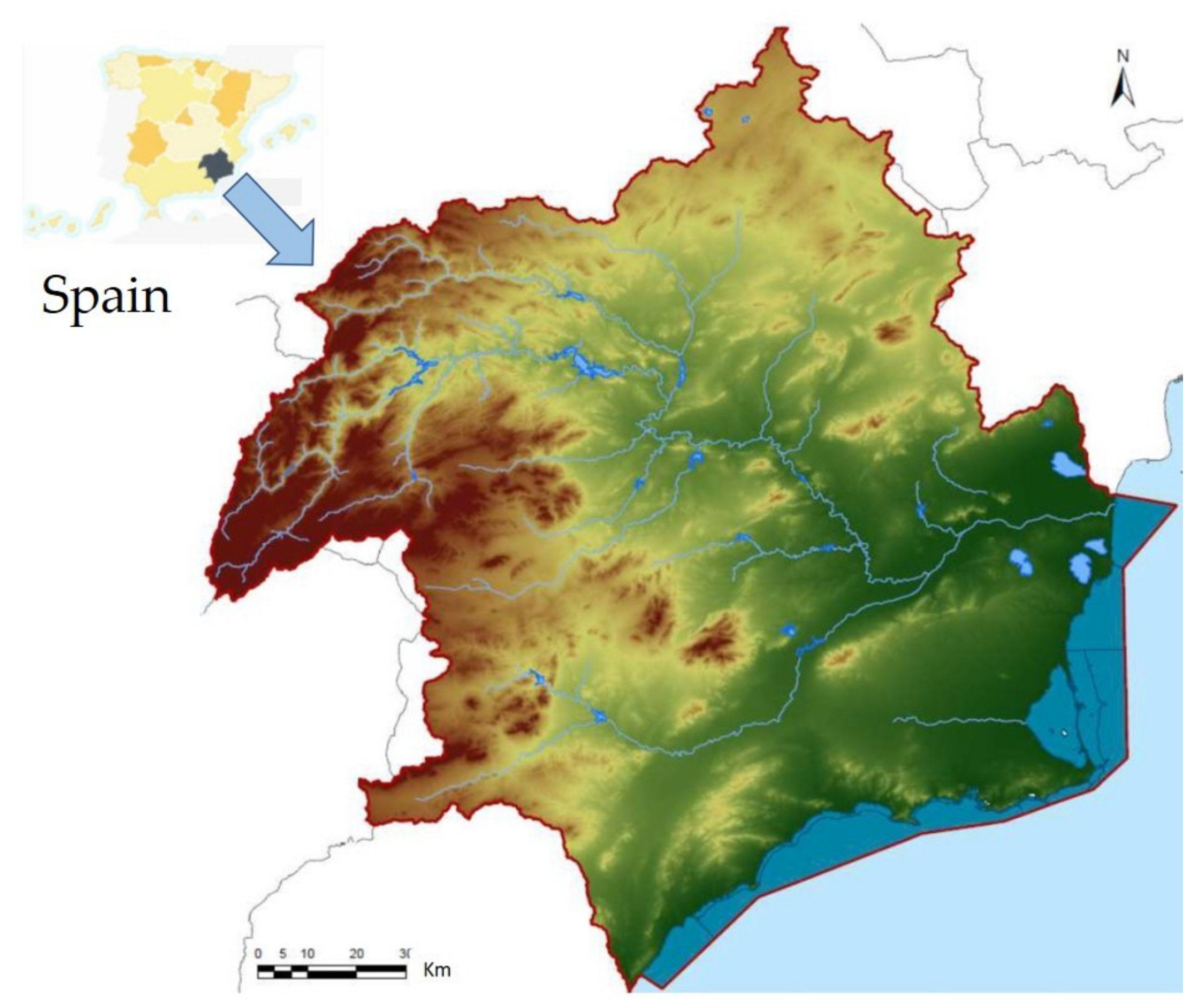 Water | Free Full-Text | Condition Assessment of Water Infrastructures:  Application to Segura River Basin (Spain)