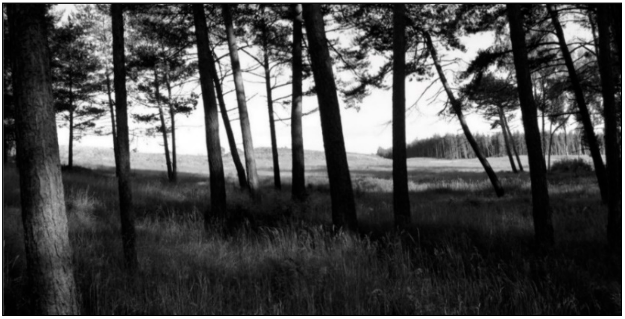 Water 11 01193 g008 Water 11 01193 g008