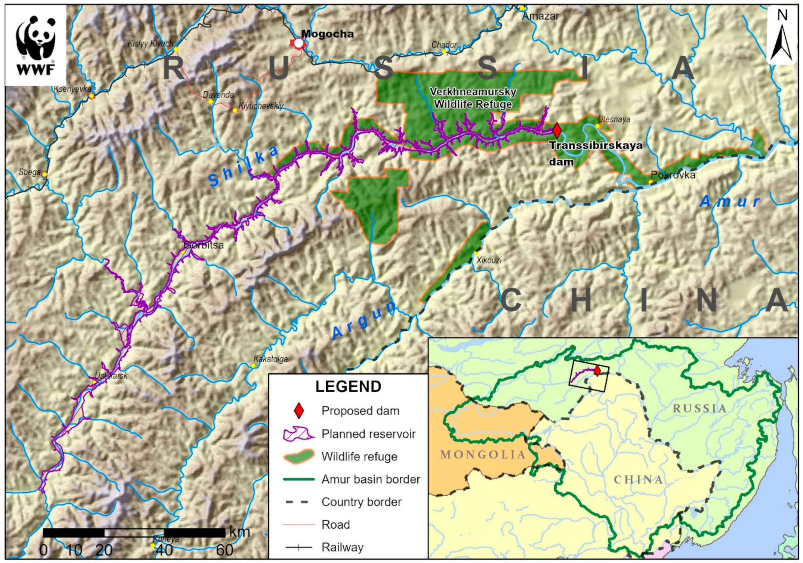 Water | Free Full-Text | Freshwater Ecosystems versus Hydropower  Development: Environmental Assessments and Conservation Measures in the  Transboundary Amur River Basin | HTML