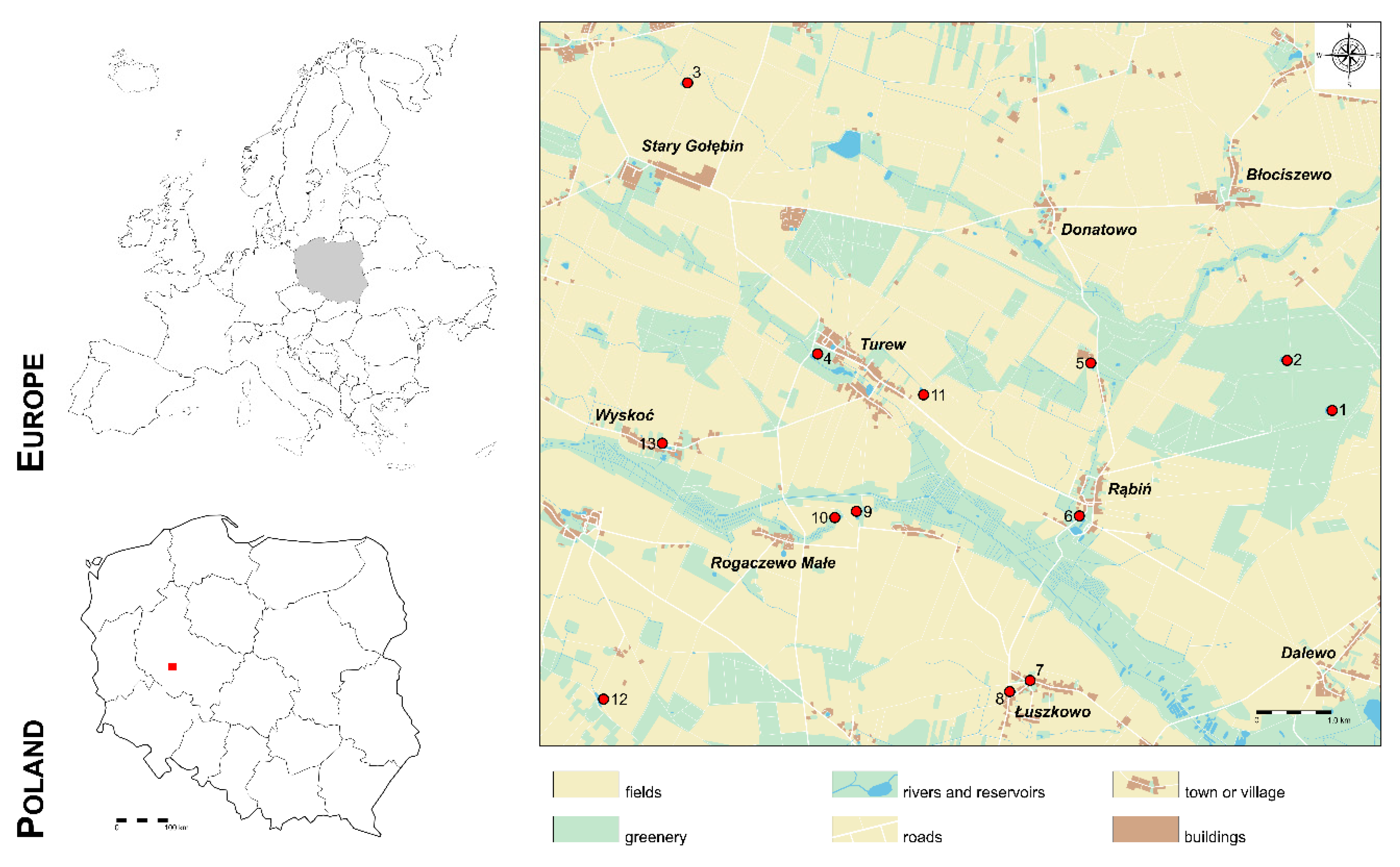 Water Free Full Text Is There A Pattern For Occurrence Of Macrophytes In Polish Ponds Html