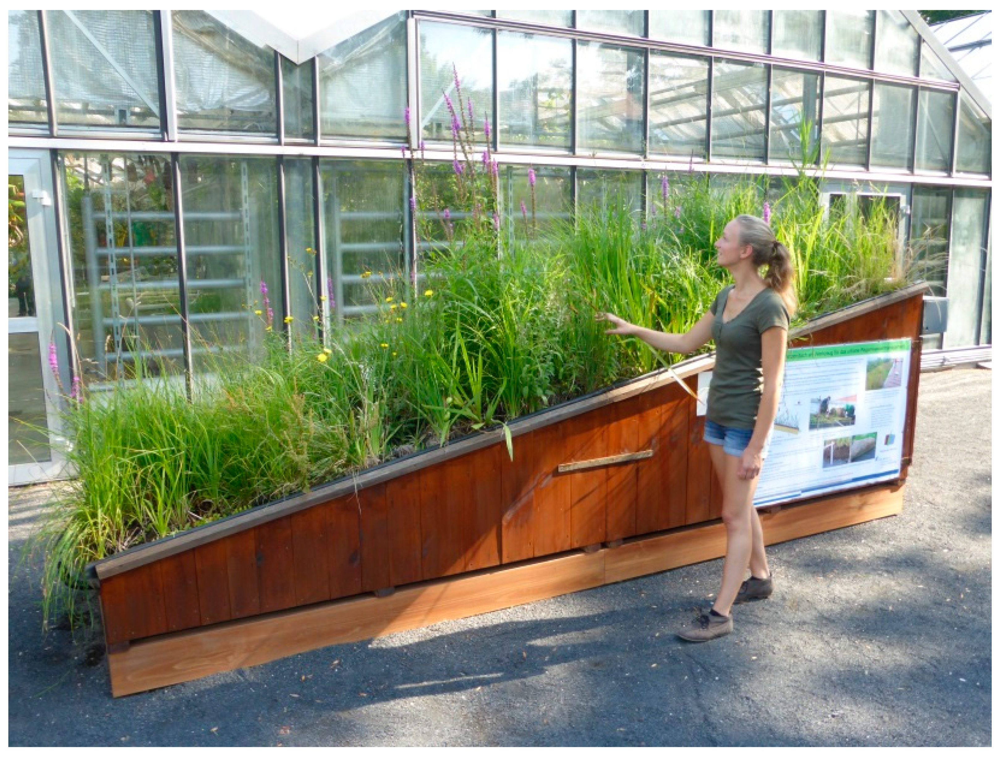 Water Free Full Text Wetland Roofs As An Attractive Option For