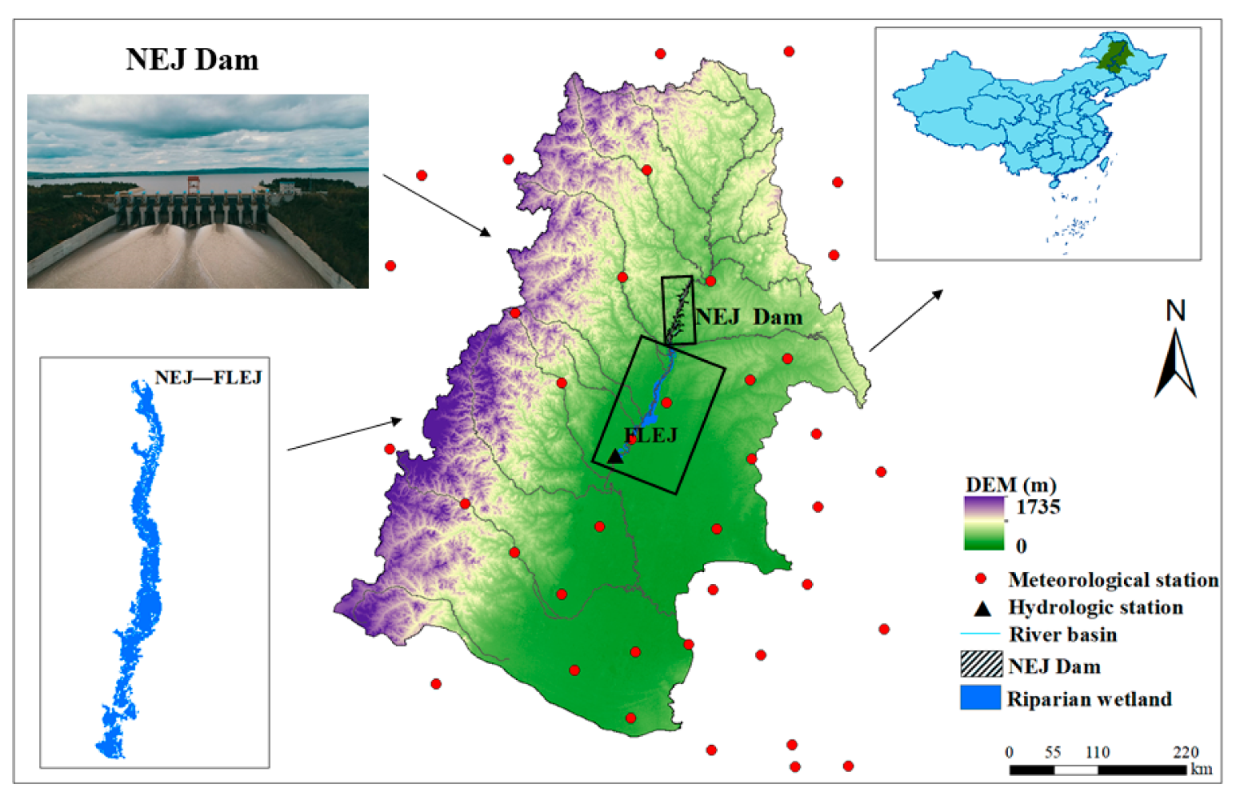 Water | Free Full-Text | Dam Effects on Downstream Riparian Wetlands: The  Nenjiang River, Northeast China | HTML