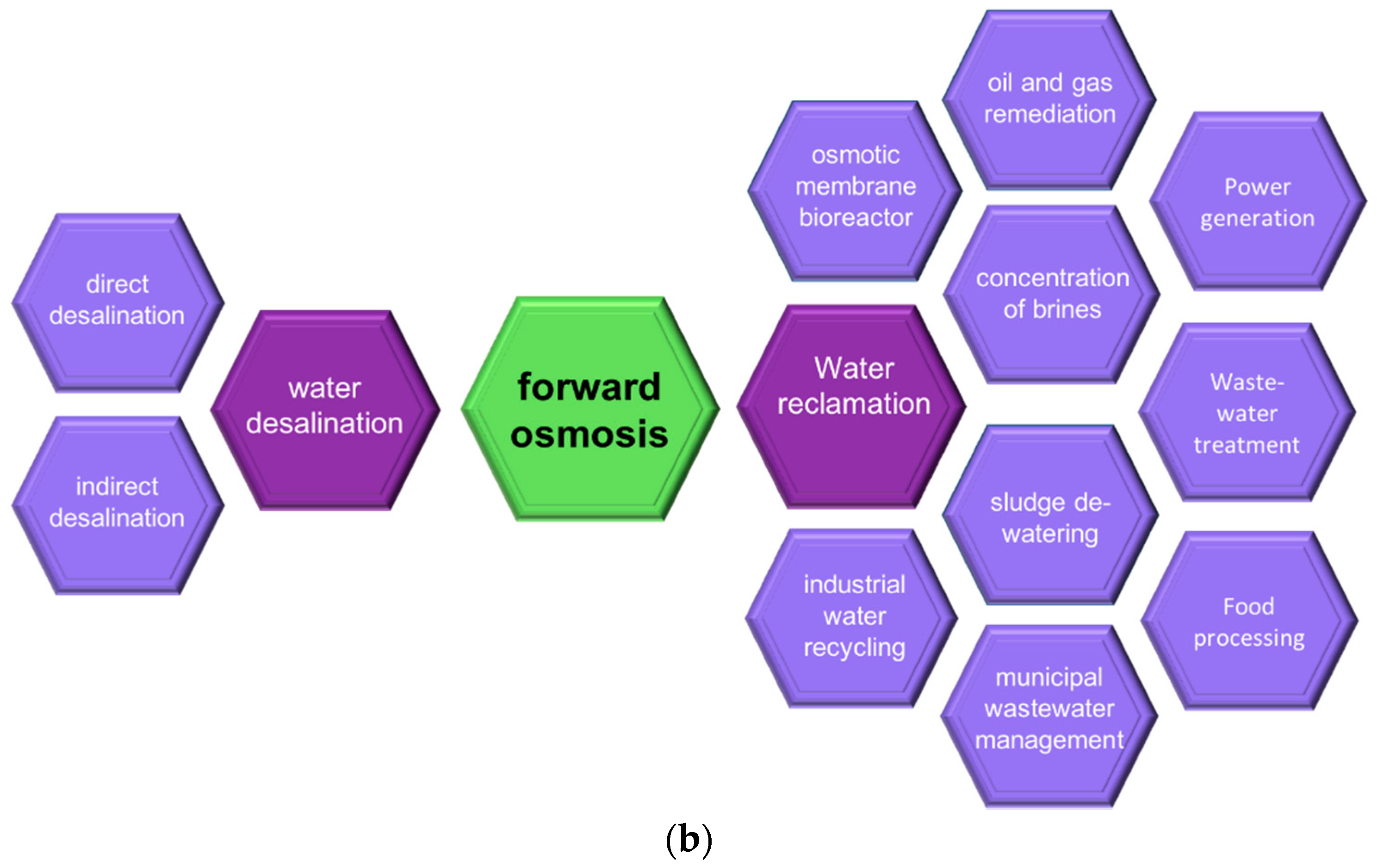 Solution Or Across A Semipermeable Membrane. Simple ...