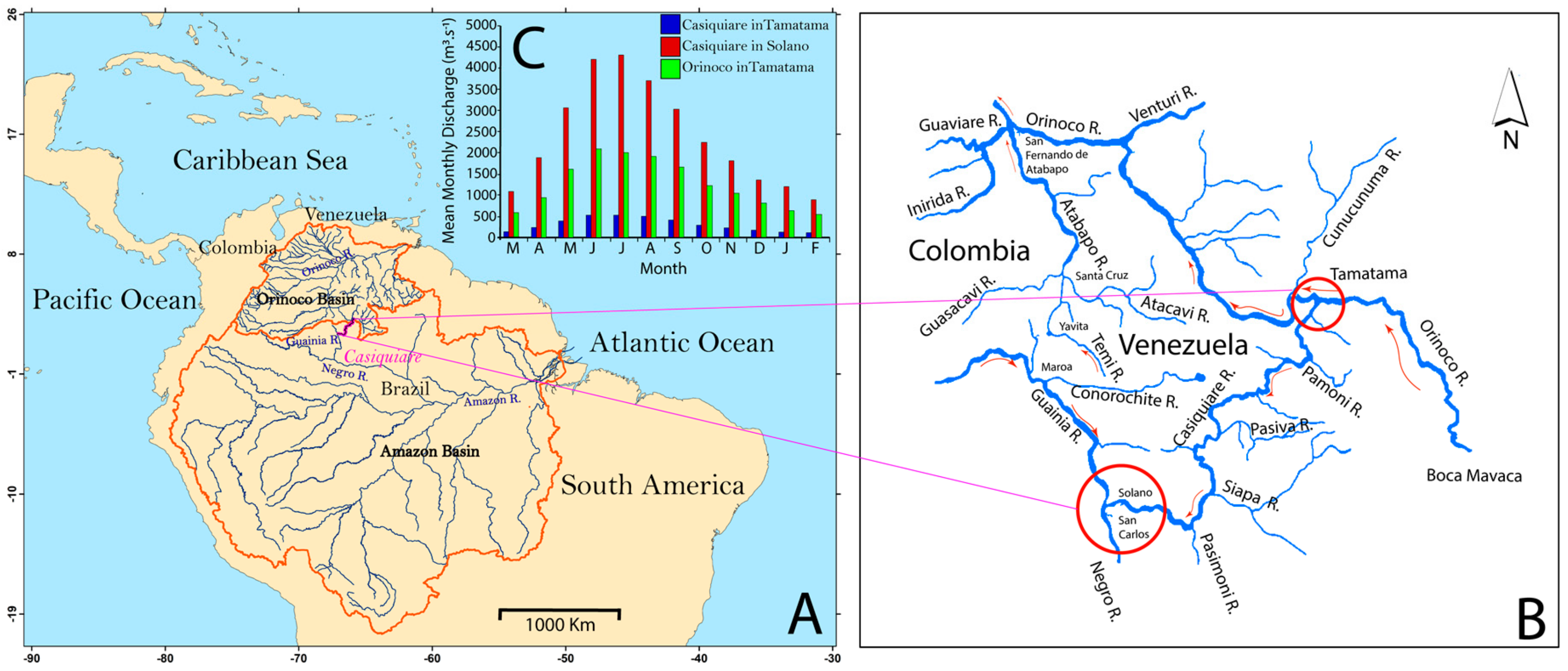 Water | Free Full-Text | Water and Sediment Budget of Casiquiare Channel  Linking Orinoco and Amazon Catchments, Venezuela